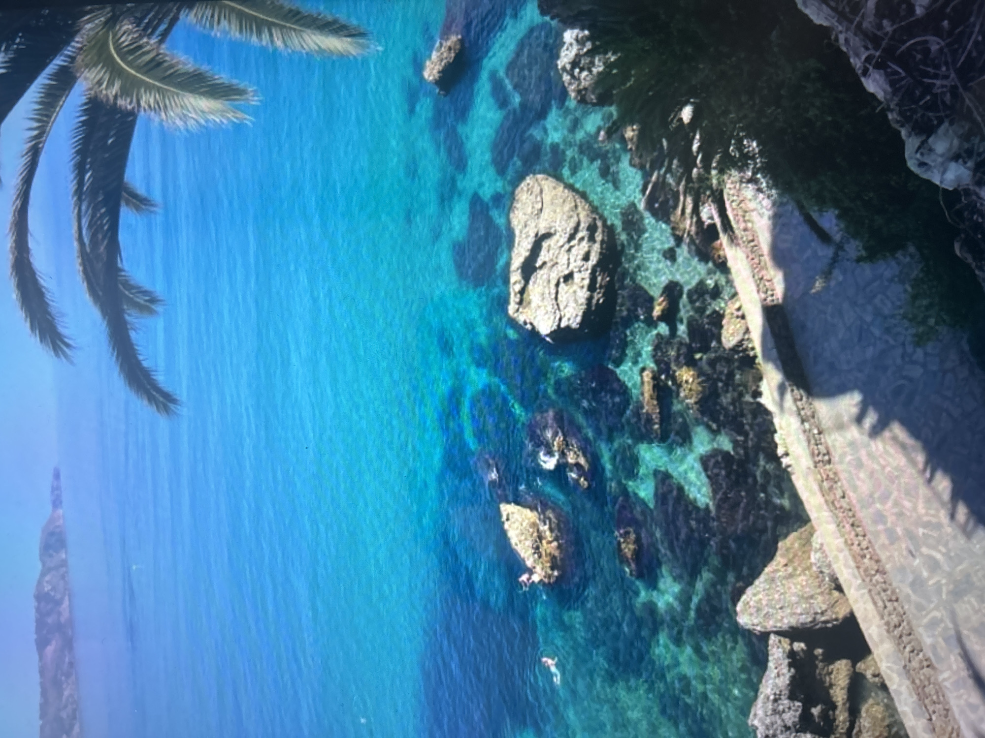 This image presents a high-angle view of a serene coastal landscape under bright, clear daylight. The scene is dominated by incredibly transparent ocean water, transitioning from vibrant turquoise near the shore to deeper blue further out. The crystal-clear water reveals numerous natural rock formations and a rocky seabed beneath the surface.
On the left side of the frame, large green fronds from a palm tree are visible, extending into the upper left corner, suggesting a tropical or Mediterranean environment. Towards the right, a rugged, rocky coastline features dark, vegetated areas and a well-defined stone path or wall running parallel to the water's edge. Strong sunlight creates distinct shadows from the elevated terrain onto this path.
In the shallow, clear waters near the shore, two small human figures can be seen, appearing to be swimming or floating leisurely. In the far distance on the left horizon, a prominent, slender rock formation or a small island emerges from the sea. The overall impression is one of peaceful natural beauty and warm, sunny weather, inviting outdoor activity. No text is visible in the image.
