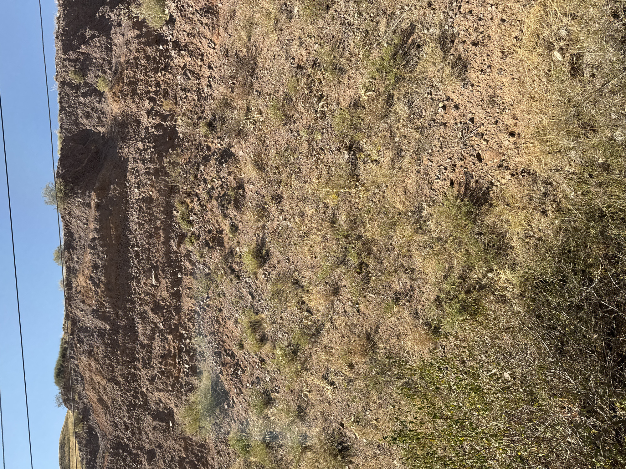 The image displays a dry, barren hillside with sparse vegetation. The hillside appears to be cut, revealing layers of soil and rock. Power lines run horizontally across the top of the frame, against a clear blue sky. The ground is covered in dry grass and small pebbles, indicating an arid environment. There are no people or animals visible in the scene. The overall impression is one of a neglected, undeveloped landscape.