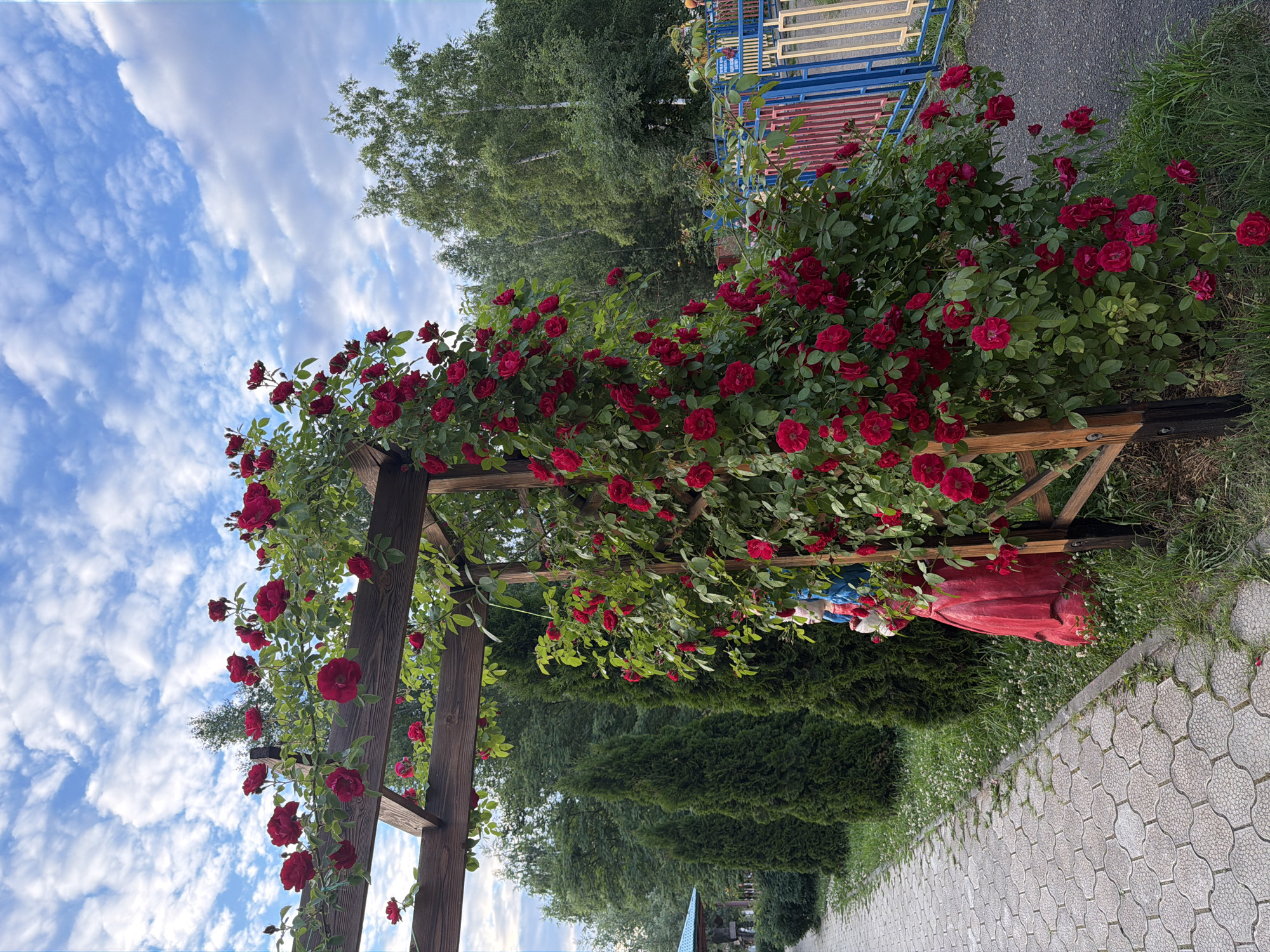 The image depicts a lush garden with a wooden archway adorned with vibrant red roses. The archway is positioned alongside a paved walkway. To the left of the walkway, a row of conical evergreen trees is visible, and a gazebo with a blue roof is partially seen in the background. To the right of the archway and roses, a brightly colored fence, consisting of blue, red, and yellow vertical bars, encloses a playground area. The sky above is partly cloudy with a mix of blue sky and white clouds. The scene suggests a public garden or park within the city of Chaikovsky, Russia, likely a place for recreation and leisure.
