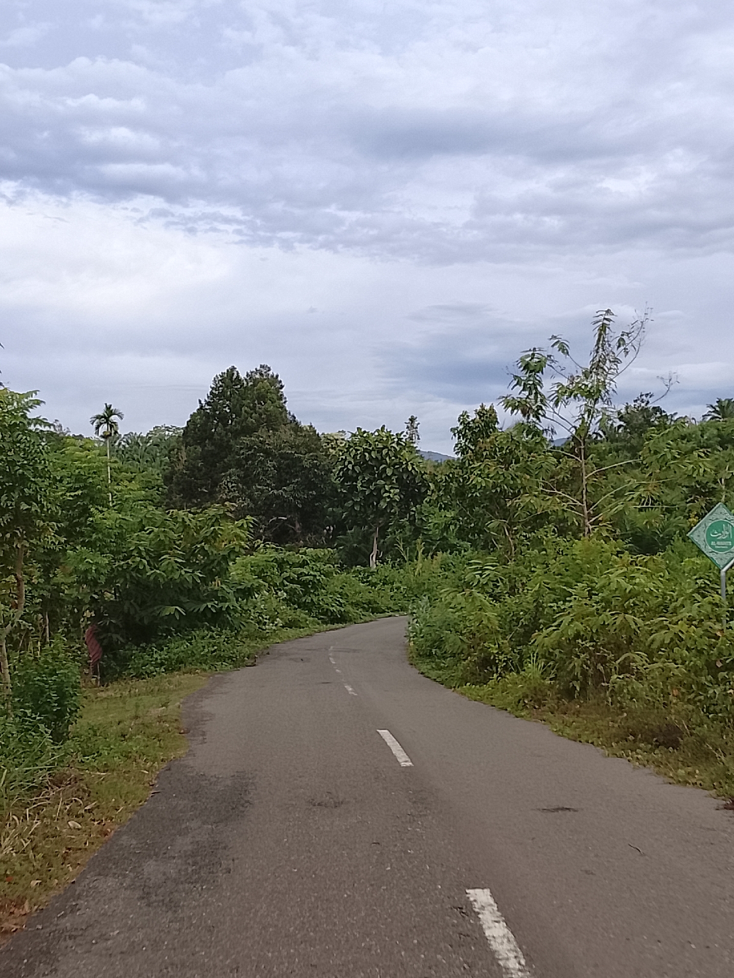 The image shows a paved road curving through a lush, green environment, likely in Seunong, Indonesia. The road is in the foreground, with a white dashed line marking the center and a solid white line at the edge on the right. The road surface appears worn in places. Dense vegetation, consisting of trees and bushes, lines both sides of the road, creating a natural tunnel effect. In the distance, more trees and some rolling hills are visible under a cloudy sky. On the right side of the road, a green diamond-shaped sign with Arabic calligraphy is mounted on a post. The sky is overcast with scattered clouds. The overall scene suggests a rural or semi-rural setting.
