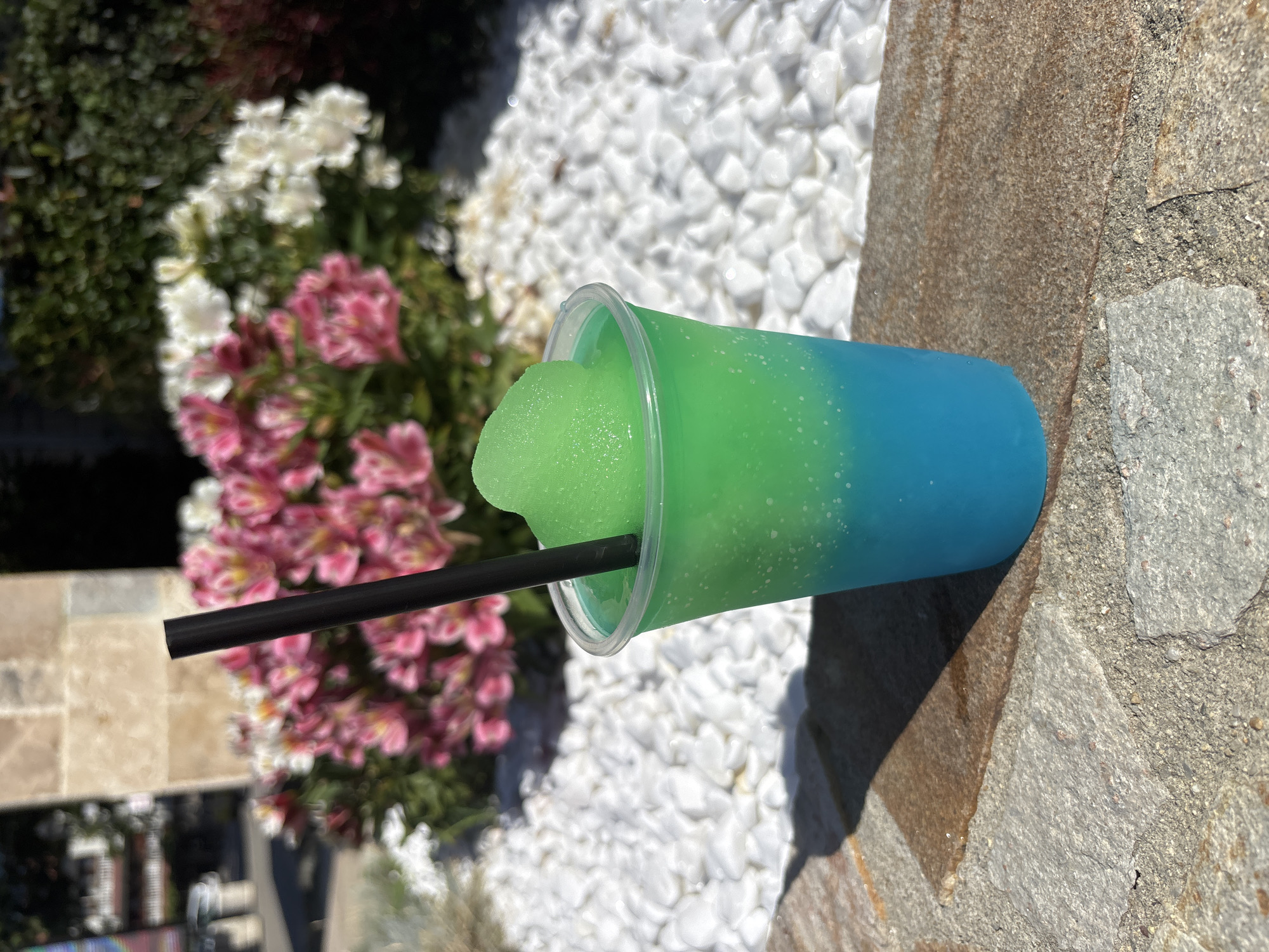 This media file is a close-up, eye-level shot of a refreshing, frozen beverage in a clear plastic cup. The drink has a gradient of colors, transitioning from a bright, icy green at the top to a vibrant blue at the bottom. A black straw is inserted into the drink, and some of the frozen mixture is piled high above the rim of the cup.
The drink is positioned on a textured stone surface, suggesting an outdoor setting. In the background, there are clusters of pink and white flowers, interspersed with green foliage and a bed of white pebbles. The lighting suggests it's daytime, with distinct shadows cast by the cup and straw, indicating the sun is shining. The overall impression is one of a bright, warm day, likely in a garden or patio area, perfect for enjoying a cool drink. There is no visible text in the image.