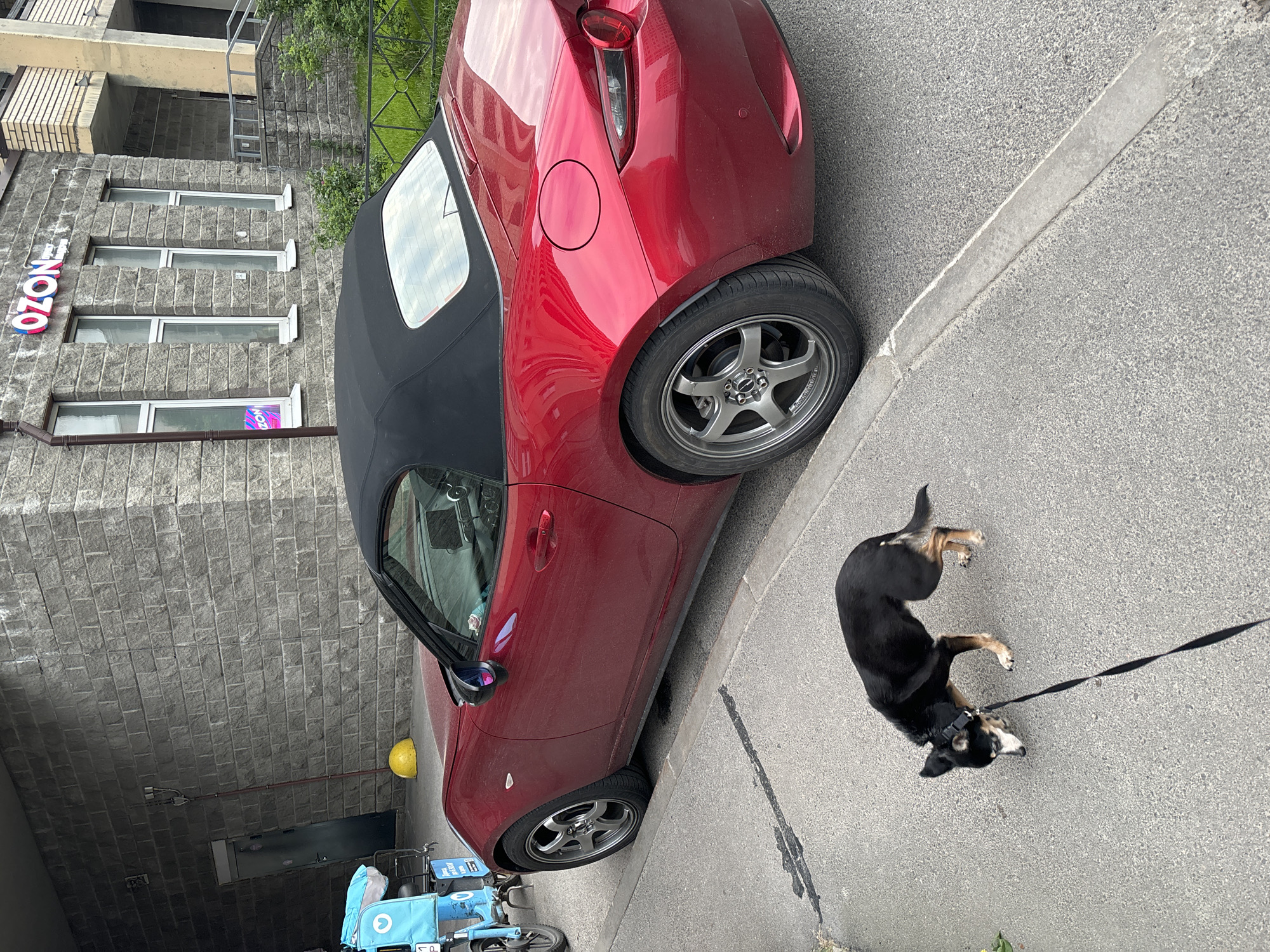The image captures a red convertible car parked near a sidewalk. The car's convertible top is black. Adjacent to the car is a dog lying on the sidewalk, attached to a leash. Behind the car and dog, a building with an "OZON" sign is visible. Additionally, several light blue bicycles or scooters are parked near the building. The location appears to be a city street, but the specific city is unknown.