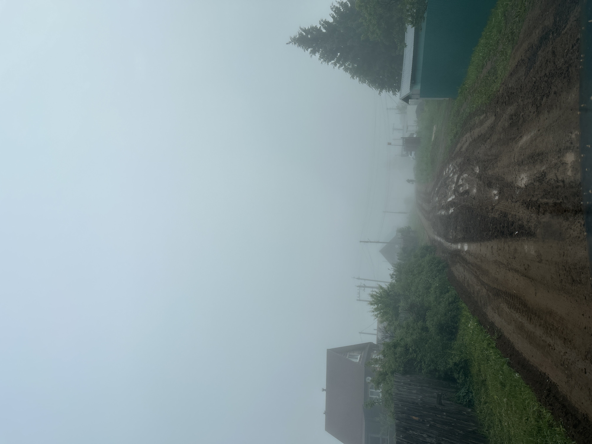 The image depicts a rural or village scene in Фоки, Russia, enveloped in dense fog. A muddy, unpaved dirt road, showing distinct tire tracks and numerous puddles, dominates the foreground and recedes into the heavy atmospheric haze, curving gently towards the right side of the frame. Green grass and scattered vegetation line the edges of this wet pathway.
On the left side of the road, partially obscured by the thick fog, stands a house with a dark roof and visible white window frames. Further into the distance, other faint structures and utility poles with power lines can be barely discerned through the low visibility. To the right of the road, a building with a dark green corrugated metal roof and siding is visible, surrounded by lush green foliage. A tall, dark coniferous tree, possibly a pine or spruce, extends into the upper left corner of the image, its upper branches also softened by the fog.
No people are visible, and no specific activities are taking place, contributing to a serene and somewhat muted atmosphere. The time of day appears to be daytime, though the heavy fog makes it difficult to judge the exact lighting conditions. The mud on the road suggests recent rainfall or very damp conditions. No visible text is present in the image.