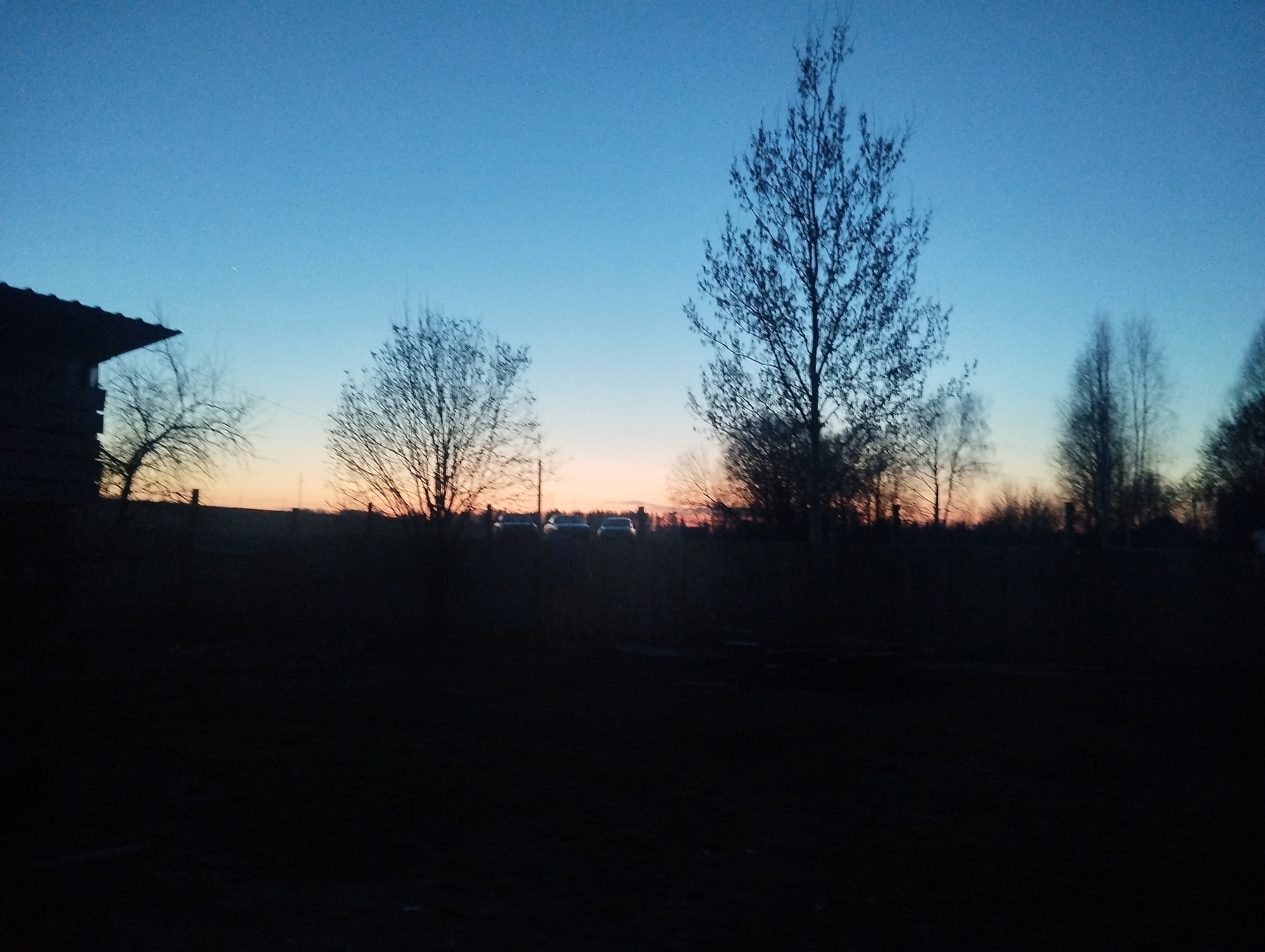 The image captures a serene twilight landscape, likely at sunset, in a rural or semi-rural setting consistent with Grishanki, Russia. The sky dominates the upper portion, displaying a gradient from a deep indigo-blue at the top to soft orange and pink hues along the horizon. The weather appears clear and cloudless.
In the foreground, the ground is completely dark, appearing as a vast, indistinct expanse, possibly a field or lawn. Silhouetted against the colorful sky are various subjects. To the far left, the dark silhouette of a wooden building, possibly a house or barn, with a distinct sloped roof, is partially visible. Across the mid-ground, several deciduous trees with bare, intricate branches stand out as dark forms against the twilight glow, suggesting late autumn, winter, or early spring.
Behind a low, dark horizontal line, which might be a fence or dense shrubs, the faint outlines of three vehicles, likely cars, are visible in silhouette against the lighter horizon. This detail suggests the presence of a road or parking area beyond the immediate foreground. Further to the right, a denser cluster of trees forms a dark wall along the distant horizon.
No people are visible, and there is no discernible activity taking place, contributing to a tranquil and still atmosphere. A very faint, tiny speck of light is discernible in the upper left quadrant of the sky, which could be a distant star or a man-made object like a satellite or aircraft. There is no visible text in the image.