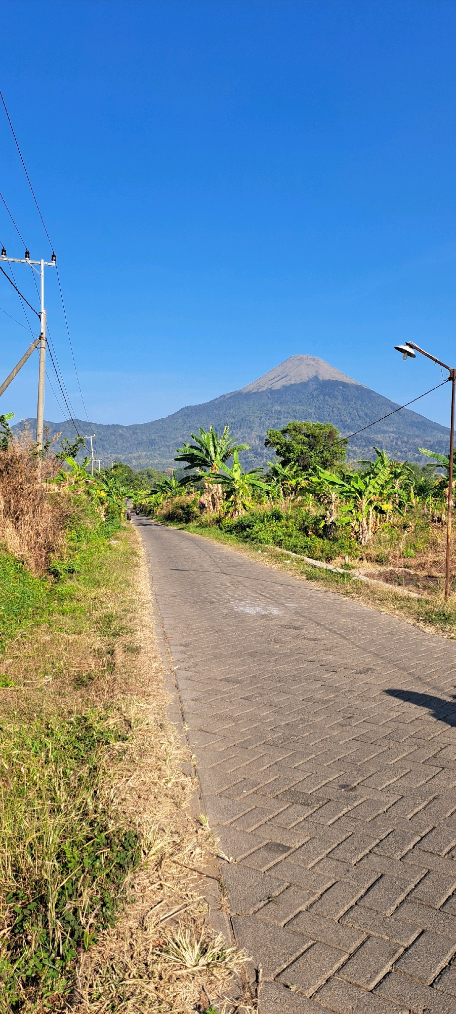 A paved road, likely a rural pathway, stretches towards a large, dormant volcano under a clear, vibrant blue sky. The road is constructed of interlocking rectangular pavers arranged in a herringbone pattern. The immediate sides of the road are bordered by overgrown grass and dry vegetation on the left, and lush green foliage, including banana plants, on the right. In the distance, the volcano dominates the horizon, its slopes covered in dense green vegetation that gradually thins towards its peak. A few scattered trees are visible on the lower slopes of the volcano.
On the left side of the road, a utility pole with insulators and wires is visible, suggesting the presence of electrical infrastructure. Further down the road, a street lamp with a single light fixture stands on the right. A person on a motorcycle can be seen in the distance, traveling away from the camera. The overall impression is one of a serene, rural landscape in an Indonesian setting, possibly in the vicinity of Sumber Suko, Indonesia, given the presence of banana trees and the prominent volcanic peak, which is characteristic of the region. The lighting indicates it is daytime, likely morning or afternoon, with the sun casting shadows on the road.