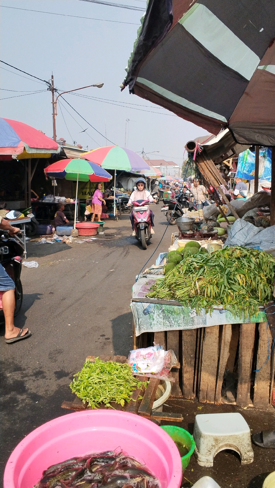The image depicts a bustling outdoor market scene, likely in the city of Mojokerto, Indonesia, given the context. A person wearing a helmet and light-colored clothing rides a dark pink scooter down a paved street lined with market stalls and vendors. Colorful umbrellas, some striped in red, blue, and green, provide shade over the stalls. In the foreground, a large pink basin is filled with what appears to be freshly caught fish. Next to it, a pile of green leafy vegetables is displayed on a wooden stand, with plastic-wrapped items behind it. Further back, a stall exhibits a large quantity of green produce, possibly durians and long beans, on a wooden counter. Other individuals can be seen walking and interacting within the market, and more market stalls with various goods extend into the distance. The environment is characterized by bright sunlight, casting shadows, and an overcast sky. Electrical wires and a street lamp are visible in the upper portion of the image, suggesting an urban setting.
