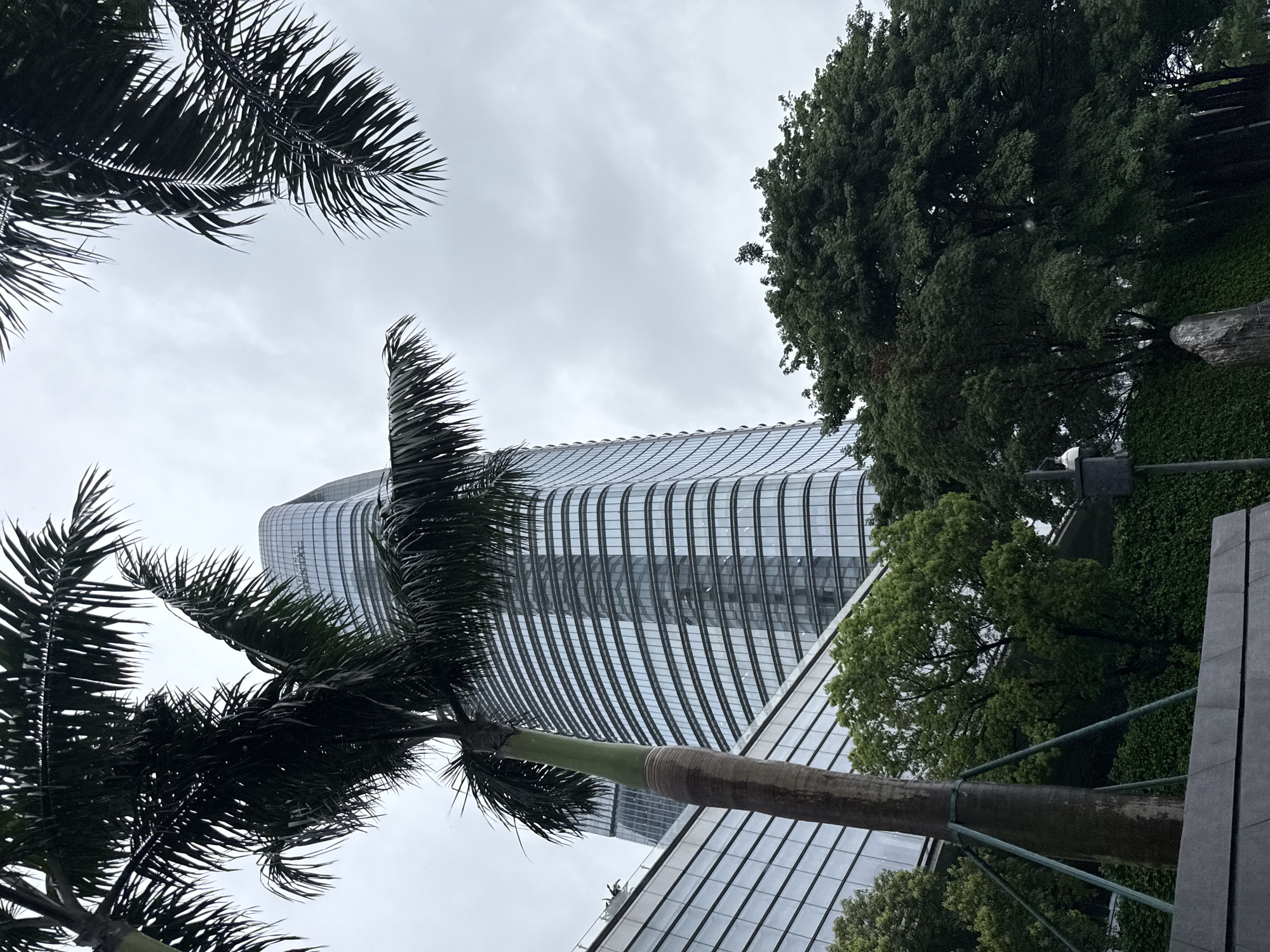 The image shows a view of the Guangzhou International Finance Center, a skyscraper located in Haizhu District, China. The perspective is from ground level, looking up towards the building. Palm trees frame the top of the image, with their fronds partially obscuring the sky. The building itself is characterized by its modern, curved glass facade, reflecting the overcast sky. Below the skyscraper, a lower, wider glass-fronted building is visible. Lush green trees and dense foliage form a natural barrier in the foreground and middle ground, contrasting with the urban architecture. The overall atmosphere is somewhat muted due to the cloudy weather. There are no people visible in the frame.