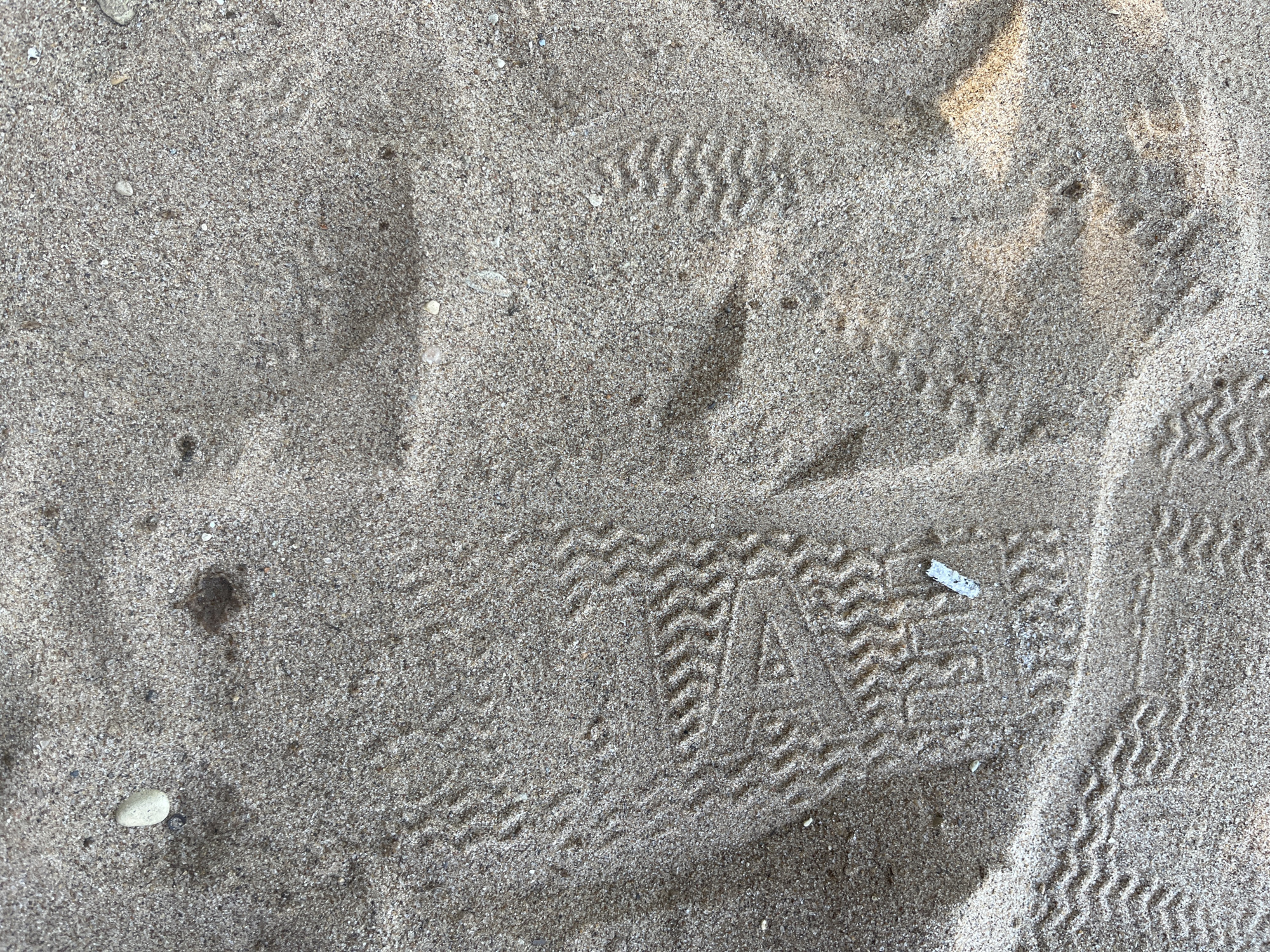 The image shows a close-up view of sandy ground with various footprints. The sand is a light beige color with visible grains and small pebbles. Several tire tracks from shoes are imprinted on the surface, indicating movement. One prominent footprint shows a distinct zig-zag pattern. There is also a small, rectangular white object, possibly a piece of debris, resting on the sand within a footprint. The lighting suggests an outdoor environment with some shadows cast across the sand. The specific location in Shumeika, Russia, is not discernible from the image itself.