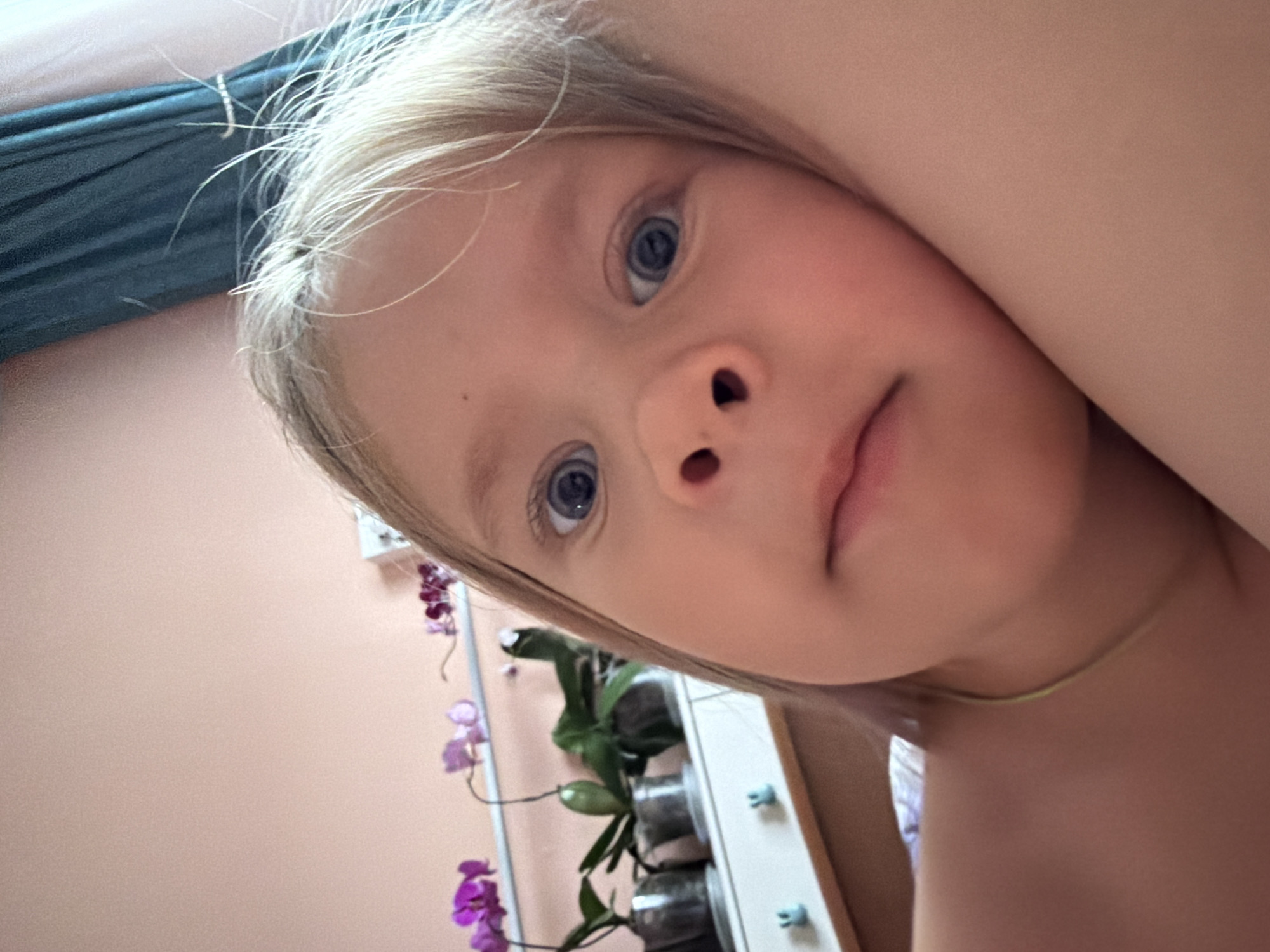 The media file is a close-up, low-angle selfie of a young Caucasian child with blonde hair and blue eyes. The child is lying down, with their head tilted back, resting on their arm. Their gaze is directed towards the camera, with a curious or perhaps sleepy expression.
In the background, a light pink wall is visible, with some shelving units and plants, including orchids with purple flowers. A dark green draped object is also partially visible on the left side of the frame, possibly a curtain or bedding. The lighting suggests it could be daytime, perhaps indoors.
There is no visible text in the media file. The overall impression is an intimate and candid moment captured by the child.