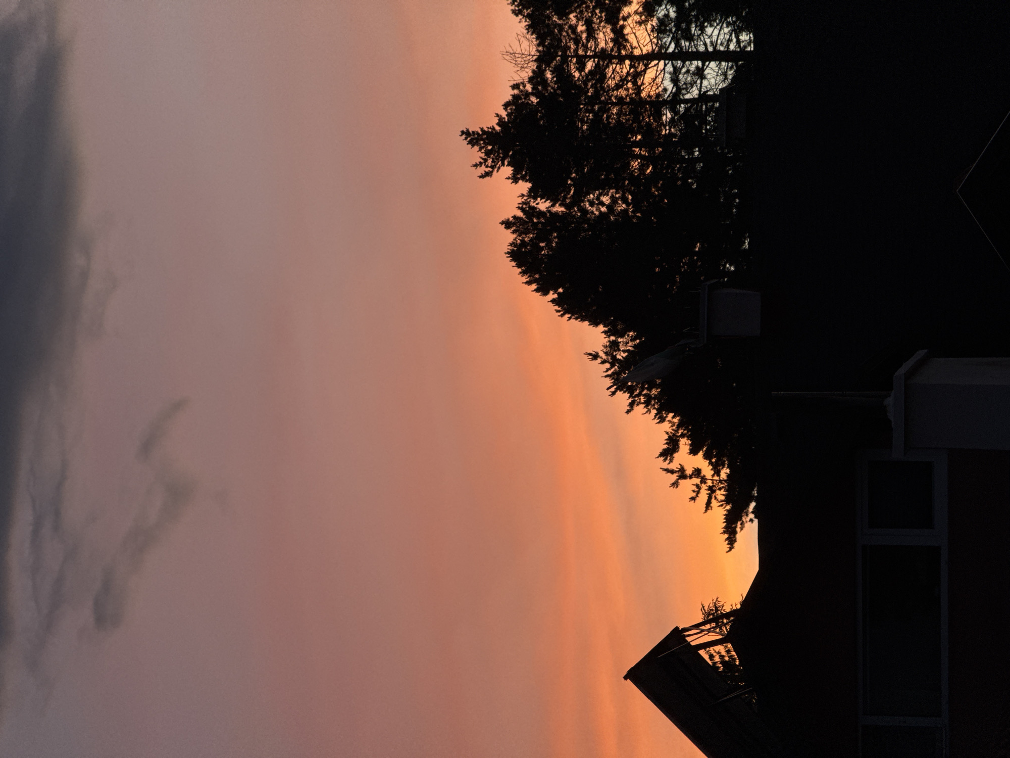 The image depicts a silhouetted view of rooftops and trees against a vibrant sunset sky. The sky transitions from a deep gray at the top to shades of pink and orange, with thin wispy clouds visible. In the foreground, the dark silhouettes of various structures, including angled rooftops, windows, and what appears to be a chimney, are present. A line of tall, dark trees forms a dense canopy along the horizon. There are no people visible in the scene. The overall impression is that of a residential area at dusk. The image does not contain any specific geographical markers or details that would allow for identification of its location within Sofia, Bulgaria.