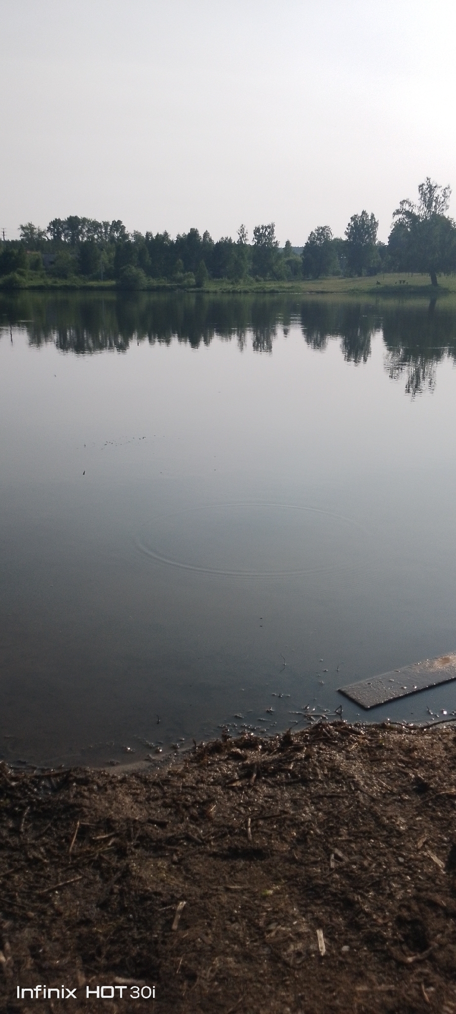 The image depicts a serene natural scene at the bank of a body of water, likely a river or lake, in Kedrovy, Russia. In the foreground, a muddy, debris-strewn bank is visible, composed of dark soil, twigs, and other organic matter. A flat, dark object, possibly a piece of metal or wood, rests partially submerged at the water's edge. The water itself is calm and reflective, mirroring the distant tree line that stretches across the horizon. A faint ripple pattern is observable on the water's surface, suggesting a gentle disturbance. The sky above is a pale, overcast gray, with no distinct clouds. The overall impression is one of quiet, undeveloped natural landscape. There are no people or animals clearly identifiable in the image. The timestamp "Infinix HOT 30i" is superimposed in the lower left corner.