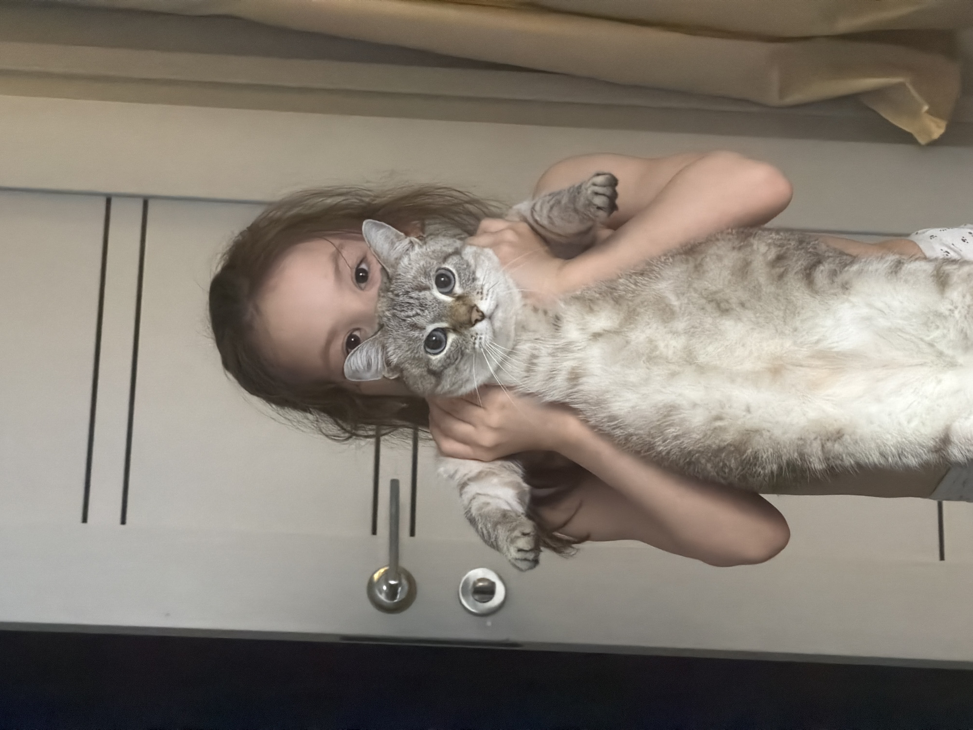 A girl is holding a gray and white cat. The background includes a white cabinet. The location is unidentifiable as Perm, Russia.