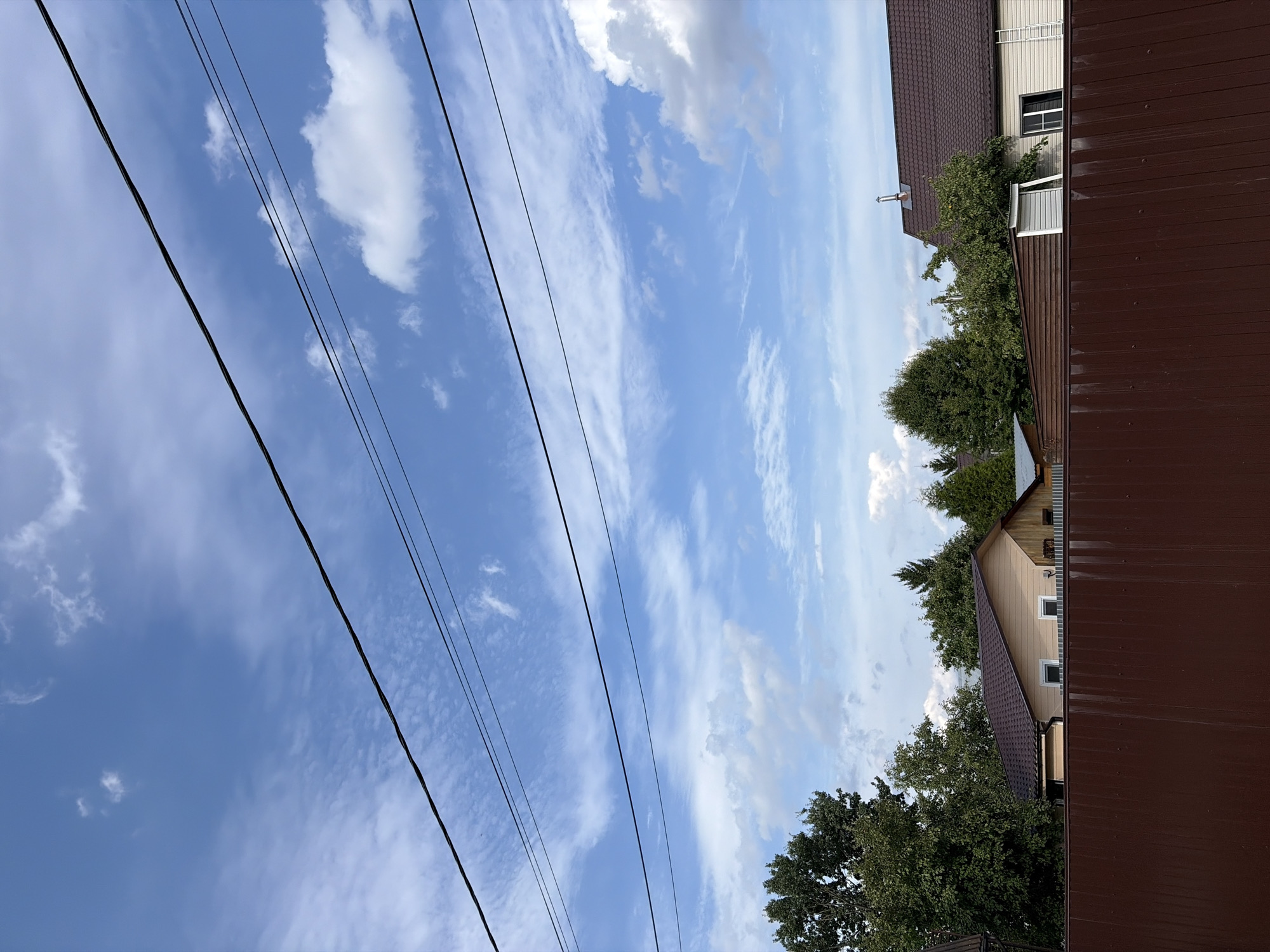 The image shows a clear blue sky with scattered white clouds and several power lines stretching across the frame. Below the sky, the tops of trees and residential buildings with brown roofs are visible. A tall, dark brown corrugated metal fence runs along the bottom of the image, partially obscuring the view of the houses and trees. The scene appears to be a residential area on a sunny day. The location is specified as Электротехник Снт, Russia.