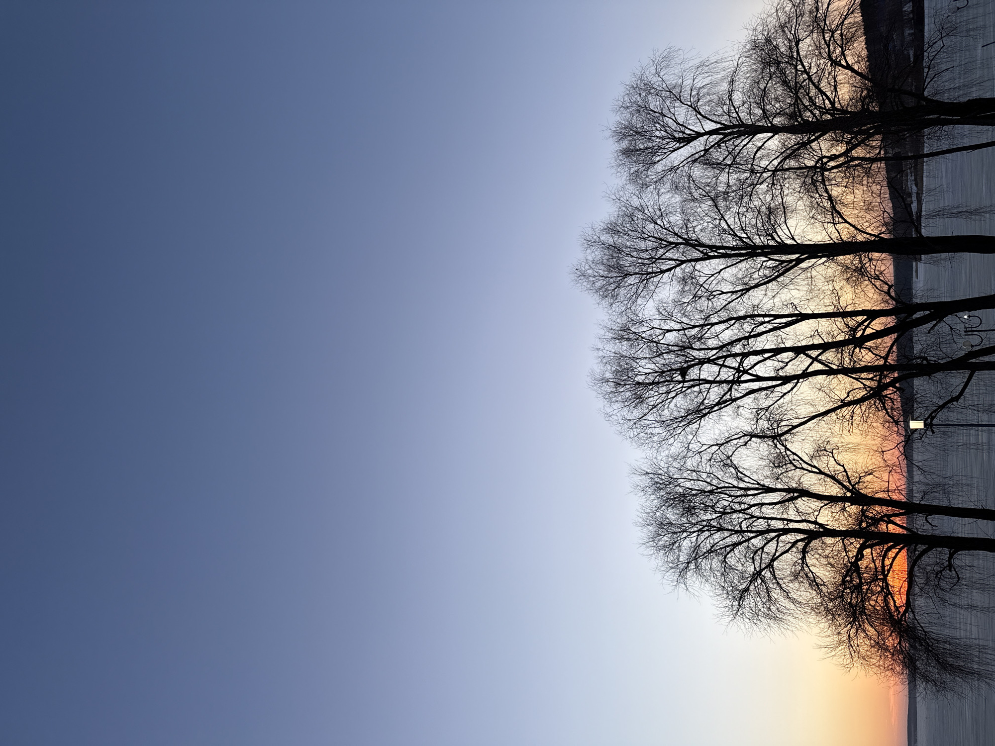 The image captures a row of bare trees silhouetted against a twilight sky. The sky transitions from a deep blue in the upper left to a soft orange near the horizon on the right. The location is Votkinsk, Russia, based on the landscape. The trees are located along the waterfront. The scene appears still and quiet, with no people visible. A solitary lamppost stands among the trees. The setting suggests the edge of a body of water, possibly a lake or reservoir.