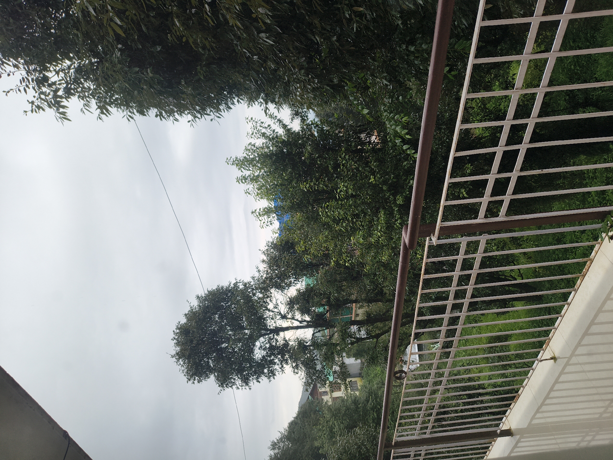 The image depicts a view from a balcony in the city of Haini, India, looking out over a lush, green landscape under an overcast sky. In the foreground, a white metal railing with brown horizontal bars runs across the bottom of the frame, casting faint shadows on the balcony floor. Beyond the railing, a dense forest of trees dominates the scene, with varying shades of green foliage. Peeking through the trees are several buildings with multi-colored facades, including a prominent building with a cream-colored lower level and a darker upper level with green trim. The sky is a uniform grey, suggesting cloudy weather or a mild, overcast day. A thin power line stretches across the upper portion of the image. The overall impression is one of a natural, serene environment integrated with a residential area. There are no people visible in the image.