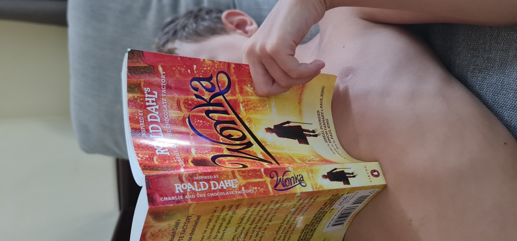 A fair-skinned child is reclining on a gray couch, reading a copy of "Wonka: Inspired by Roald Dahl's Charlie and the Chocolate Factory." The book is open, revealing the cover and inside pages. The child's hand holds the book open. The child's upper chest and arm are visible. The background is blurred. There is no indication of the city of Da Nang, Vietnam.