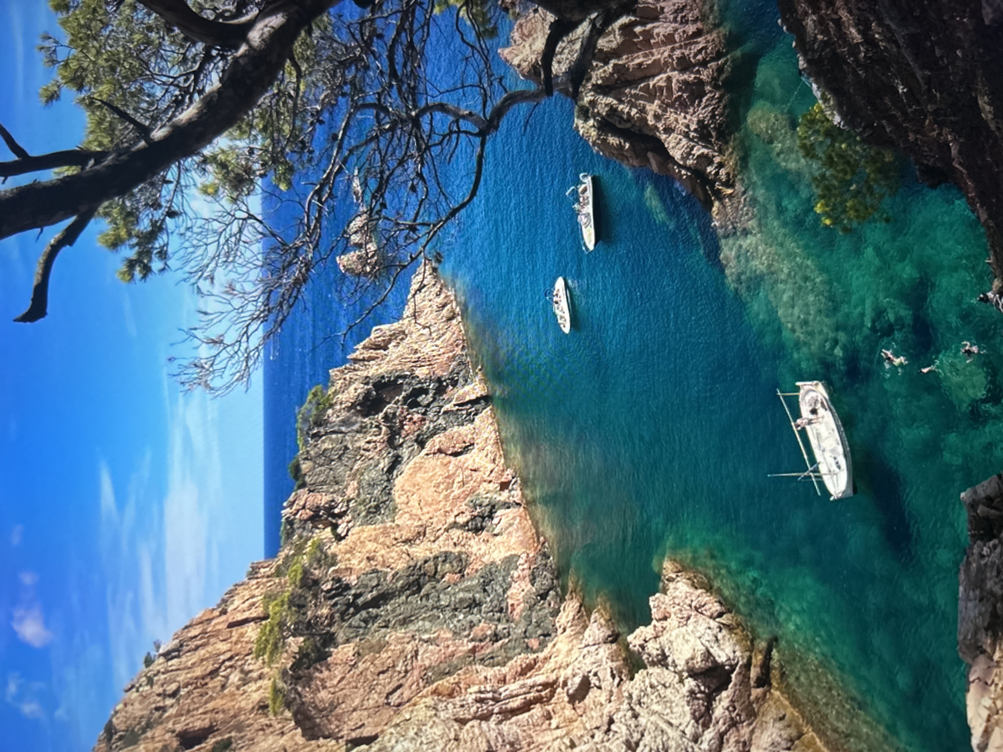 This high-angle, wide shot captures a picturesque rocky cove under a brilliant blue sky, suggesting a bright, sunny day. The scene is dominated by the striking contrast between the rugged, reddish-brown and dark grey cliffs and the vibrant blue-green waters.
The water in the cove is exceptionally clear, revealing the sandy seabed and submerged rock formations, particularly where it is shallower and closer to the shore. Further out, the water deepens to an intense, opaque blue that meets the horizon under a few wispy clouds.
In the cove, three boats are visible. Two smaller, white motorboats or tenders are positioned towards the center, while a larger, white sailboat with its mast and rigging visible is anchored closer to the right-hand cliff. Several individuals are in the water around the sailboat, appearing to be swimming or snorkeling.
A large, gnarled tree branch with both leafy green sections and bare twigs extends prominently from the upper left and center of the frame, creating a natural, organic foreground element that frames the expansive view of the cove and sea. The lush green foliage on the cliffs is sparse, typical of a dry, rocky coastal environment. The overall impression is one of tranquility and natural beauty, ideal for leisure activities. There is no visible text in the image.