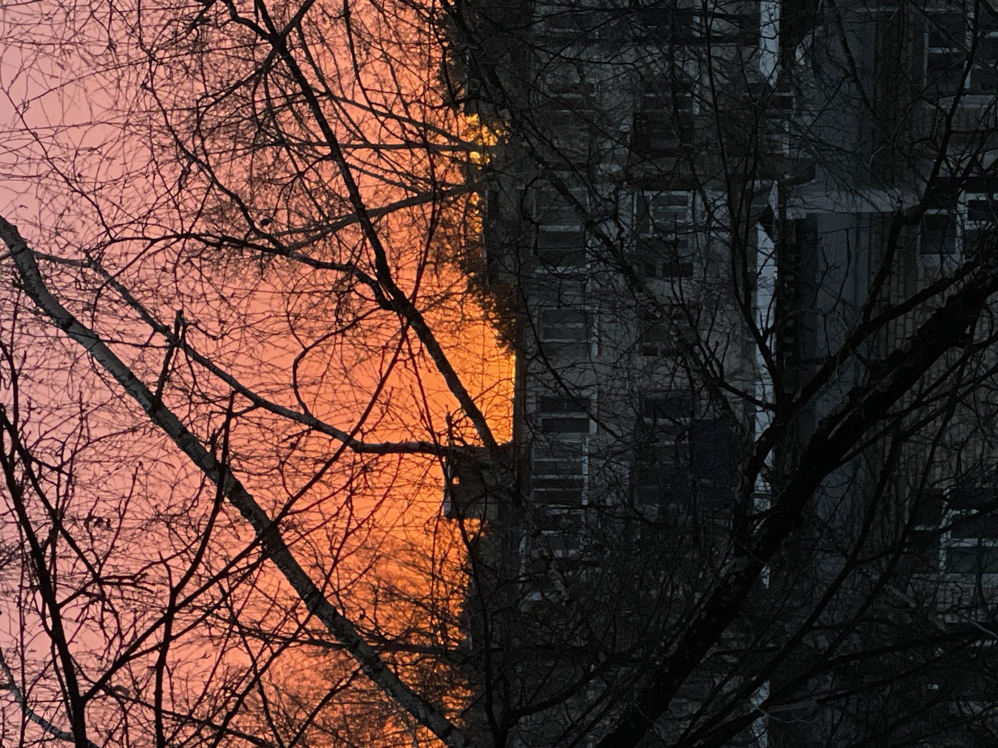 The image shows a view of an urban landscape at dusk or dawn. On the left side of the frame, bare tree branches stand silhouetted against a gradient sky transitioning from pink at the top to orange closer to the horizon. The right side of the image features a high-rise building with multiple visible windows. The building's facade is a dark, muted grey, and its texture appears worn. Bare tree branches are also visible in front of the building. The location is likely Chaikovsky, Russia, inferred from the image request. The overall environment appears cold and possibly overcast. There is no evidence of people or specific actions within the frame.