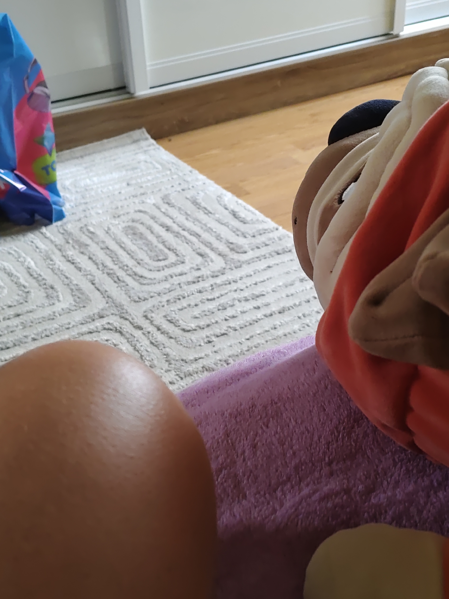 In the city of Rostov-on-Don, Russia, a close-up, low-angle shot shows a person's leg and a stuffed toy on a rug. The stuffed toy is a cartoon character with a black head, brown face, and an orange shirt. It is partially obscured by a pink blanket. The leg is positioned in the foreground, with the knee visible. The rug is beige with a geometric pattern. A blue shopping bag with a pink cartoon character on it is visible in the upper left corner. The background consists of a wooden floor and a white wall with a sliding door.