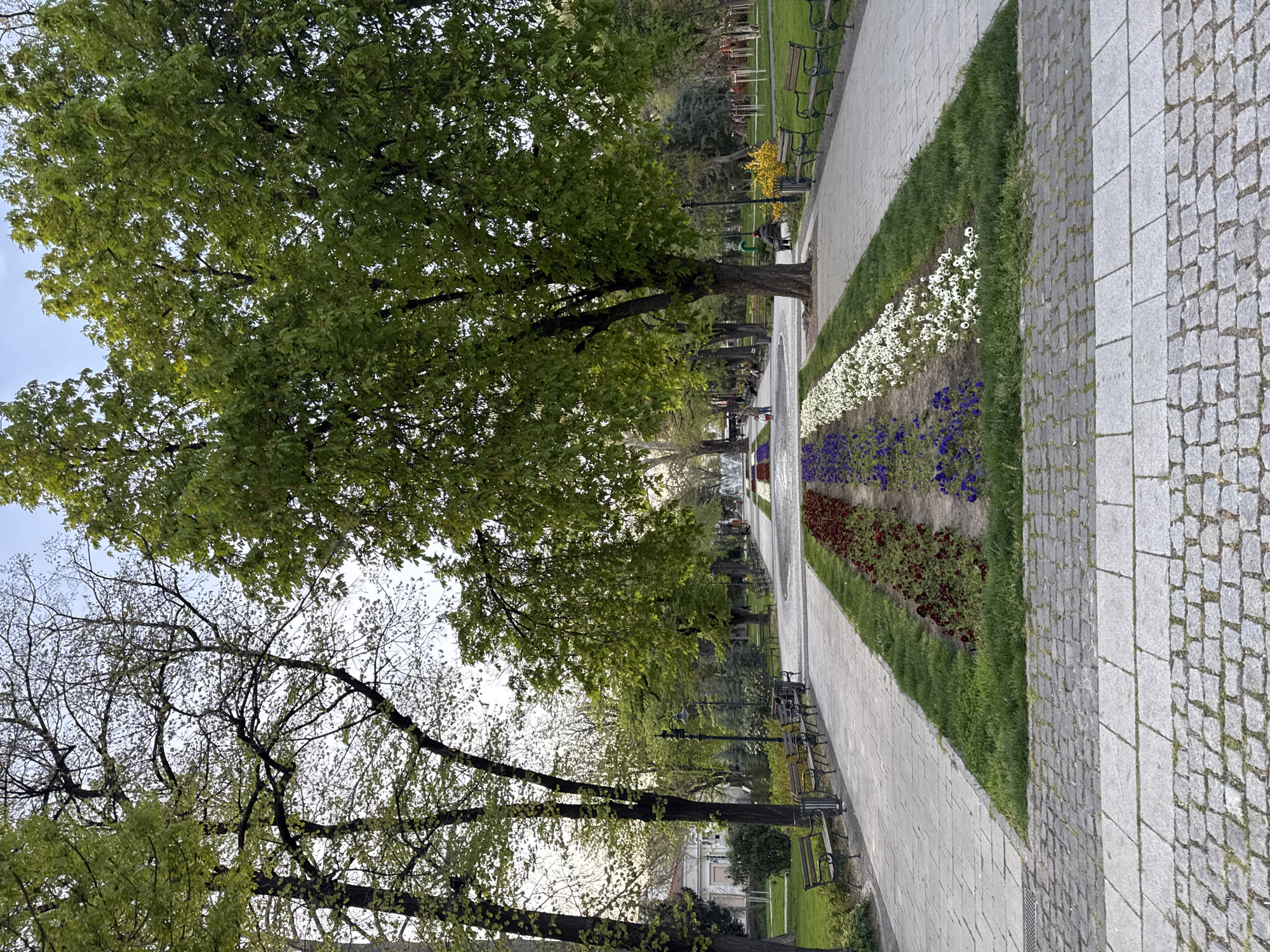 The image shows a park in Plovdiv, Bulgaria. A long, straight walkway is bordered by flowerbeds with white, purple, and red flowers, and by benches under trees. The walkway is paved with large, rectangular stones, while the area to the right of the flowerbeds is paved with smaller, cobblestone-like stones. Trees line the walkway, providing shade. Other benches and trees are visible in the background. The sky is overcast. There are people walking along the walkway in the distance.