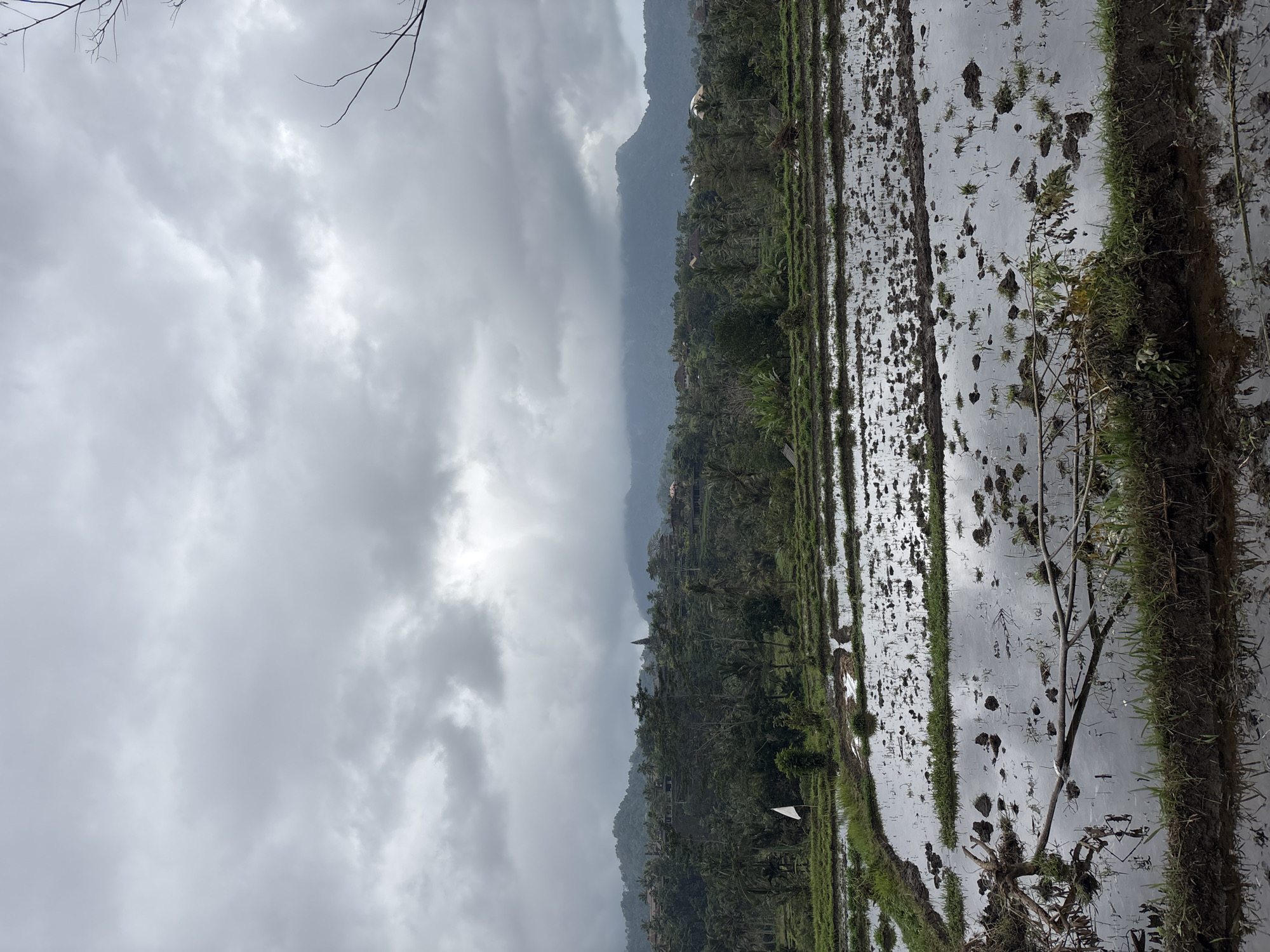 The image depicts a landscape of rice paddies in Sidemen, Indonesia, under an overcast sky. The foreground is dominated by flooded rice fields, with visible soil clumps and some scattered debris, including branches. The water reflects the cloudy sky. In the middle ground, a verdant hillside is covered with trees, predominantly palm trees, and scattered buildings that appear to be part of a village or resort. A white flag is planted on the left side of the hillside. The background features rolling hills and mountains, partially obscured by clouds, suggesting a humid or rainy climate. The overall scene is tranquil and agricultural, characteristic of the Sidemen region known for its scenic rice terraces and rural charm.