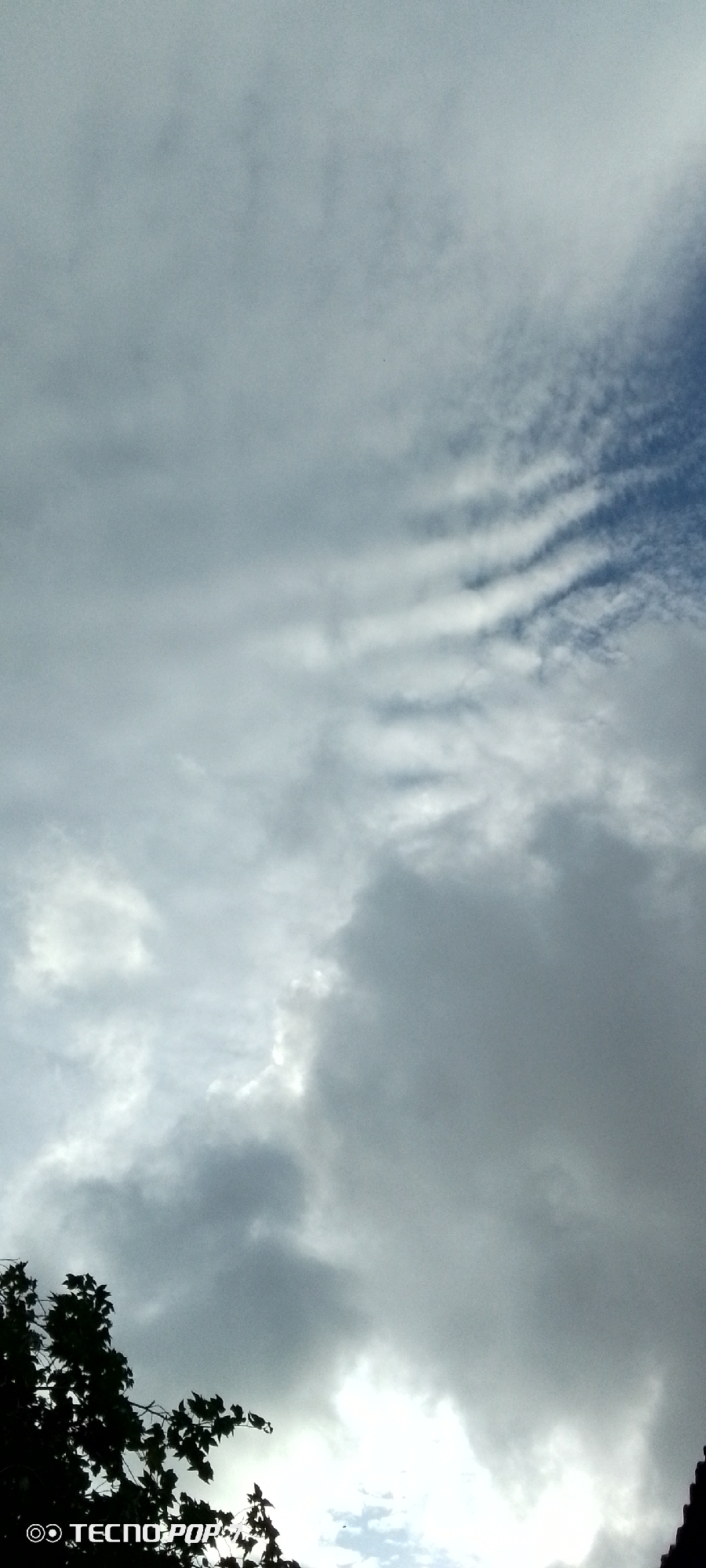 The image shows a sky filled with clouds. The clouds are varied in texture and density, with some appearing wispy and others thick and dark. There are streaks of lighter clouds in the upper portion of the image, and larger, more opaque clouds dominating the lower and right portions. In the bottom left corner, a silhouette of dark green foliage from a tree is visible. At the very bottom of the image, a watermark reads "TECNOPOP". The sky is overcast and the lighting suggests it is daytime, possibly late afternoon or evening due to the muted tones. The scene appears to be an outdoor shot, likely taken from a ground-level perspective looking upwards. There is no indication of the city of Altagracia, Venezuela, within the image itself.