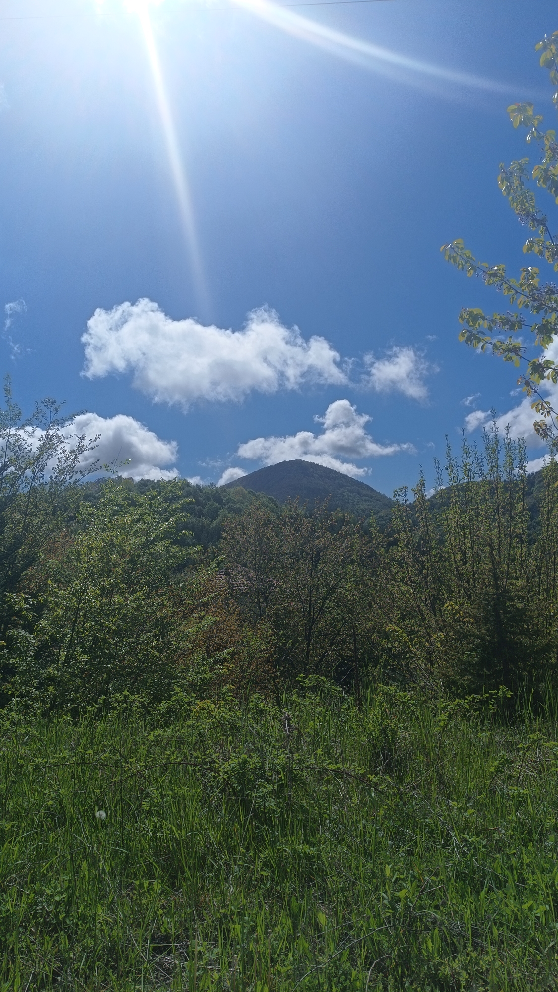 The image depicts a daytime scene in a rural area, likely near Vrata, Bulgaria, given the prompt's instruction. A prominent, forested mountain rises in the background. Fluffy white clouds are scattered in the blue sky above the mountain. The sun is bright, causing glare in the upper portion of the image. A variety of green trees and shrubs dominate the middle ground, partially obscuring the base of the mountain. Tall green grass fills the foreground, suggesting a field or meadow. There are no people visible in the image.
