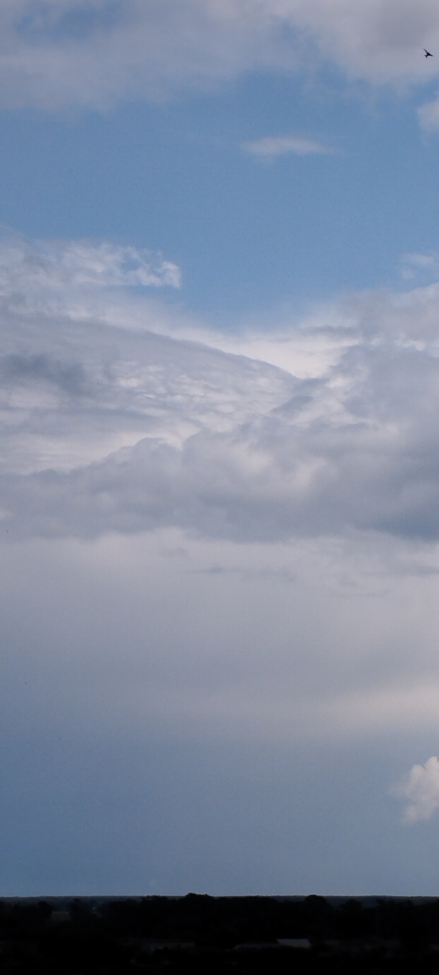 The image shows a sky with clouds and a distant dark horizon line, suggesting an outdoor scene likely at dusk or dawn. There is a small, dark silhouette of a bird in flight in the upper right portion of the sky. The lower portion of the image is dominated by a dark, silhouetted landscape, which is not detailed enough to identify specific features. The scene is devoid of any discernible human presence or activity. The provided location of Skidzieĺ, Belarus, is not visually evident from the image itself.