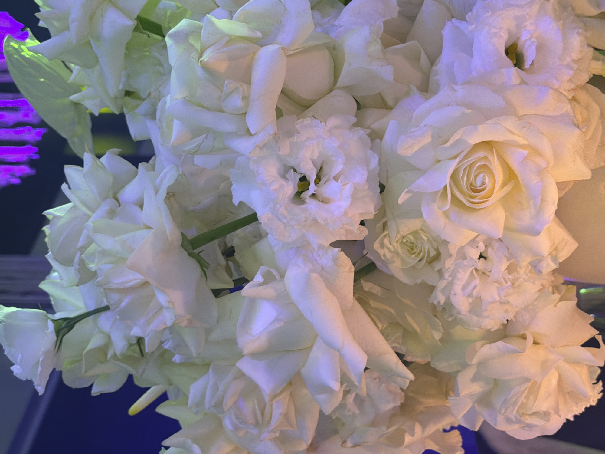 The image is a close-up, vertical, eye-level shot of a large bouquet of white flowers, primarily roses and possibly eustomas, against a dark, out-of-focus background. The lighting is dramatic, with warm, golden light illuminating the flowers from the bottom and cool, purple and blue light casting shadows and highlights. The flowers are tightly packed, with layers of delicate petals visible. Some flowers are fully bloomed, revealing their intricate centers, while others are still in bud form. The overall impression is one of lushness and opulence. The scene does not provide any visual cues to suggest it is located in Yerevan, Armenia.