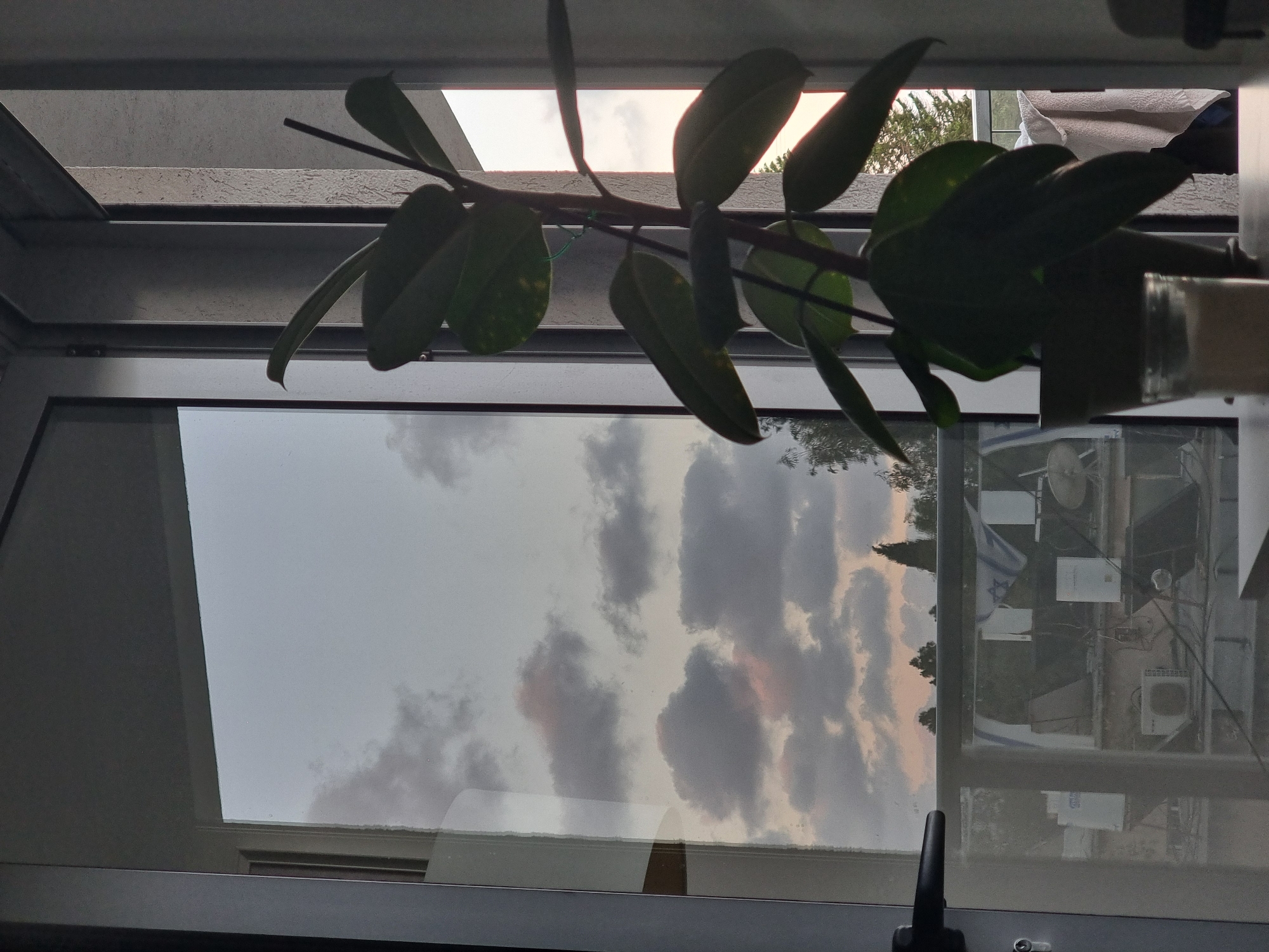 The image depicts a view through a window or glass door at dusk, with a potted plant in the foreground. The plant, a rubber tree (Ficus elastica), is dark green and positioned to the right of the frame, with large, glossy leaves. A small glass jar containing a light-colored granular substance is visible in front of the plant pot.
Through the glass, the sky is filled with scattered clouds, tinged with pink and orange hues, indicating sunset or sunrise. Below the sky, there's a reflection of buildings and a balcony with what appears to be an Israeli flag hanging. Air conditioning units are visible on the balconies of adjacent buildings. Trees, including a tall, conical one, are silhouetted against the sky.
The setting is likely a residential area in Ramat Gan, Israel, given the presence of the Israeli flag and the architectural style of the buildings. The overall mood is quiet and serene, captured in the low light conditions of twilight. The scene is static, with no people or animals actively engaged in any discernible actions. The perspective is from inside a room looking outwards.