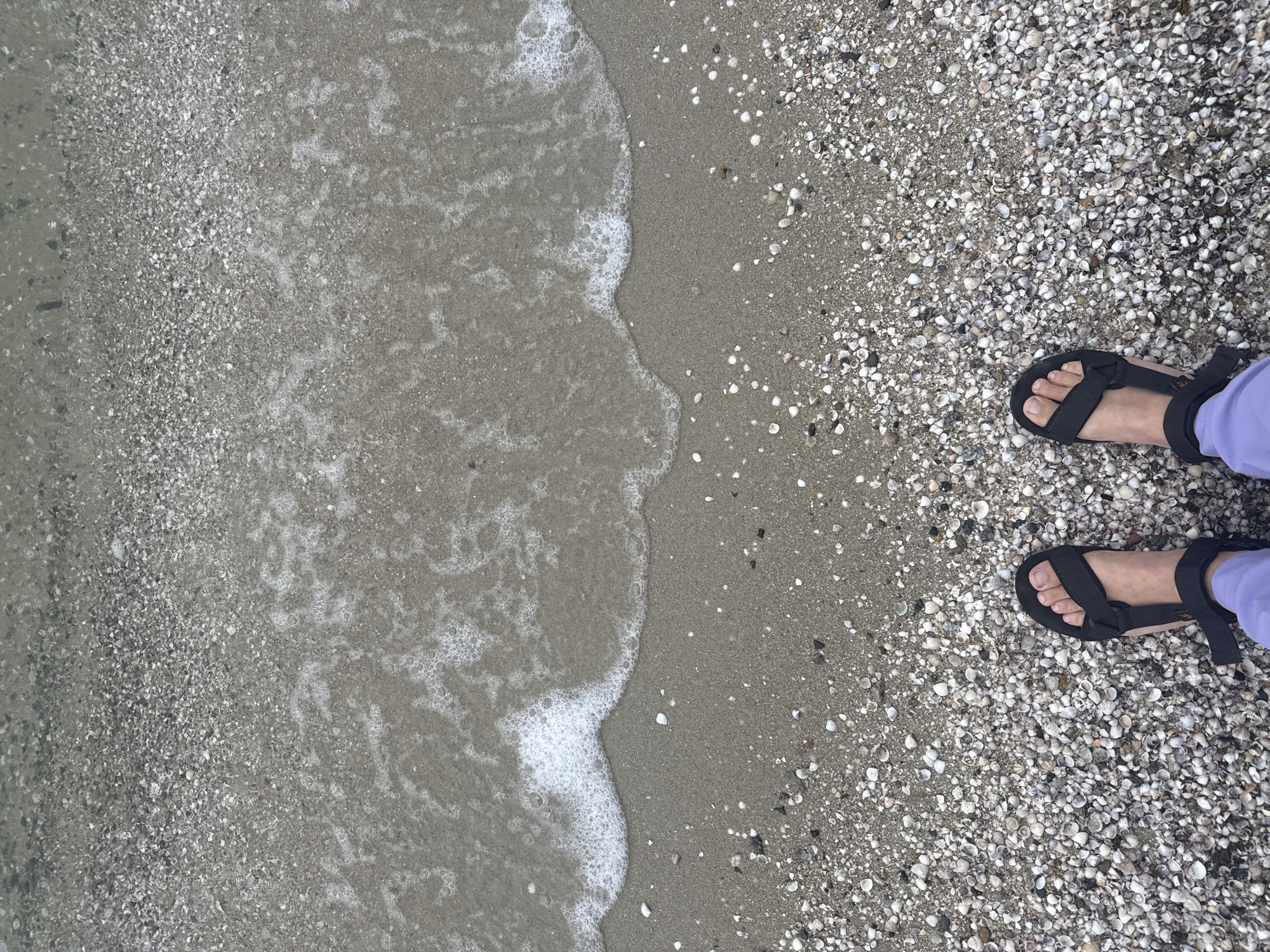 The image shows a close-up, overhead view of a person's feet wearing black sandals on a beach. The beach is covered in small shells and sand. The edge of the water is visible, with gentle waves and foam lapping at the shore. The scene is consistent with a beach in São Pedro Da Aldeia, Brazil.