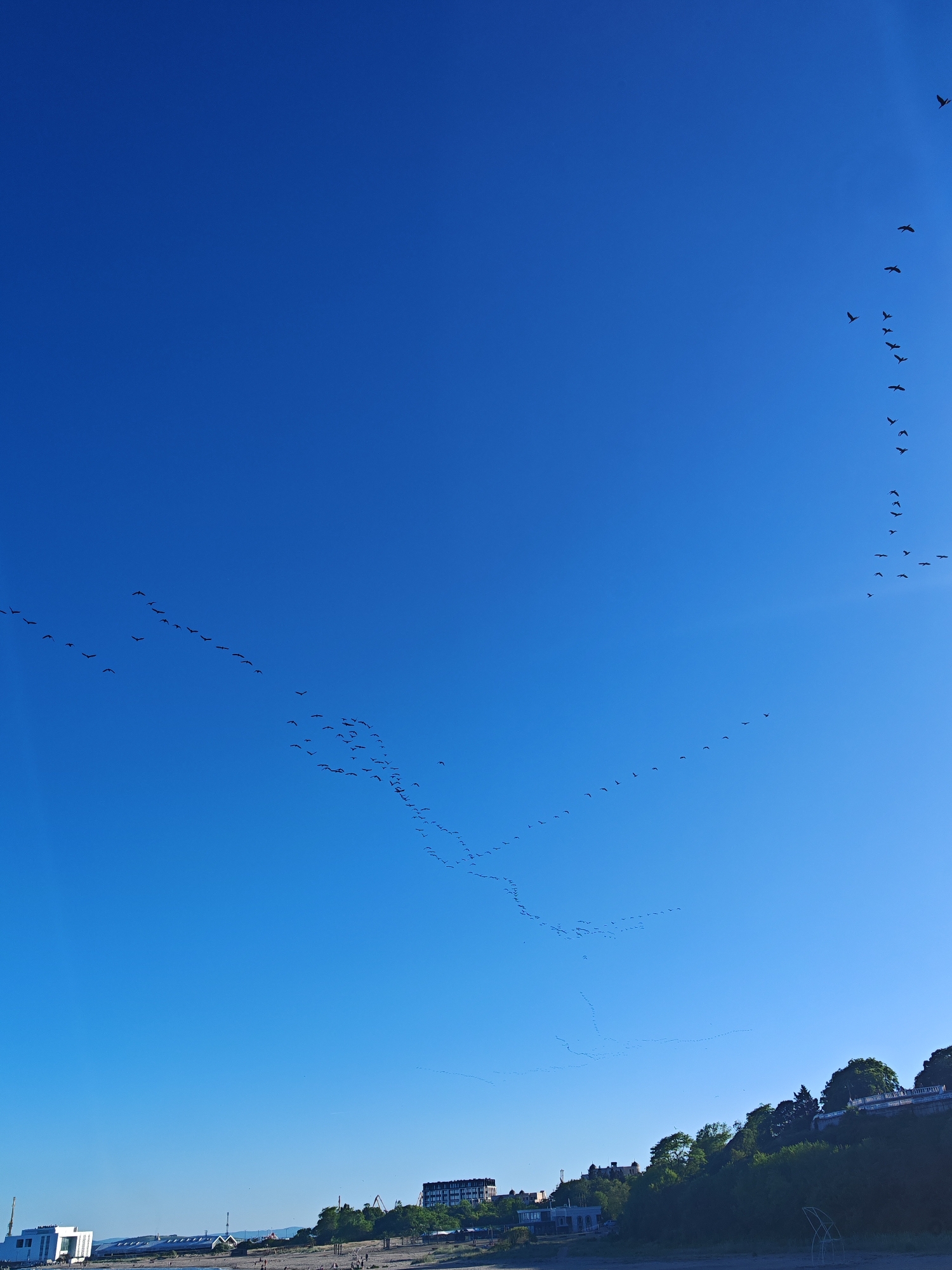 The image shows a clear, bright blue sky over Burgas, Bulgaria. Numerous flocks of birds are flying in formation, appearing as small dark specks against the sky. Below, a beach area is visible with people walking along the shore. Buildings and trees are seen along the shoreline, and there's a grassy area on a small hill behind the beach.