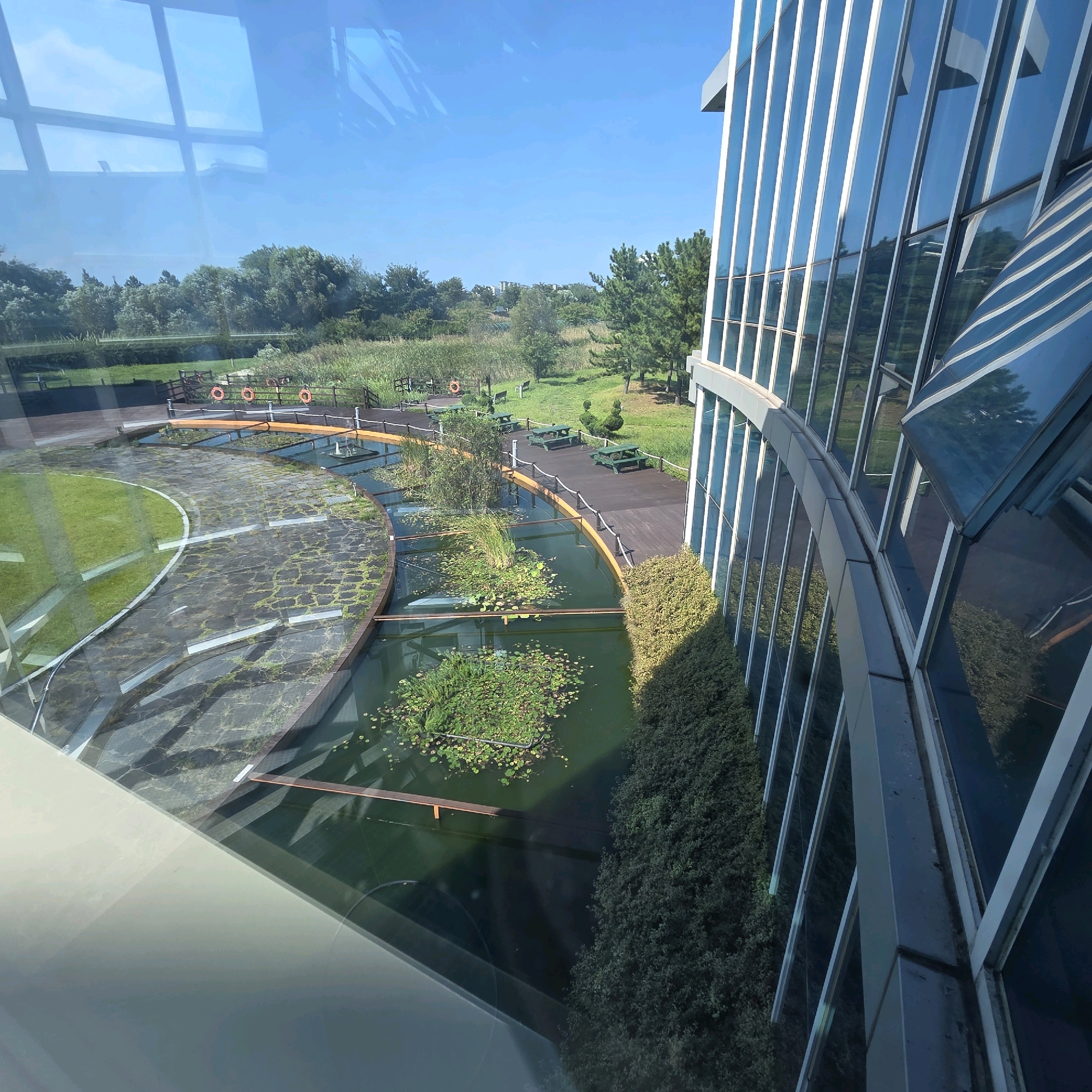 The image shows a modern building with a curved glass facade, likely in a city or park area, overlooking a man-made pond with lily pads and surrounding greenery. The building's exterior is a reflective blue glass, indicating it's a contemporary architectural structure.
In the foreground, a large portion of the image is taken up by the reflection of the sky and the building itself on the glass. This gives the impression of looking out from inside a building.
Beyond the glass, there's a landscaped area with a curved pathway made of dark stone with visible green moss growing between the stones. Adjacent to this path is a dark green pond, dotted with lily pads and aquatic plants. Several wooden bridges or walkways cross the pond.
Further in the background, a wooden deck area with several picnic tables and benches is visible. Beyond that, a grassy area with scattered trees and bushes leads to a more densely wooded area. A calm, clear sky with a few wispy clouds dominates the upper portion of the image.
The scene appears to be a serene, possibly resort or corporate campus environment, designed to blend modern architecture with natural landscaping.
The building is located in Gangneung-si, South Korea, and it is implied that this is a view from the building's interior looking outwards.