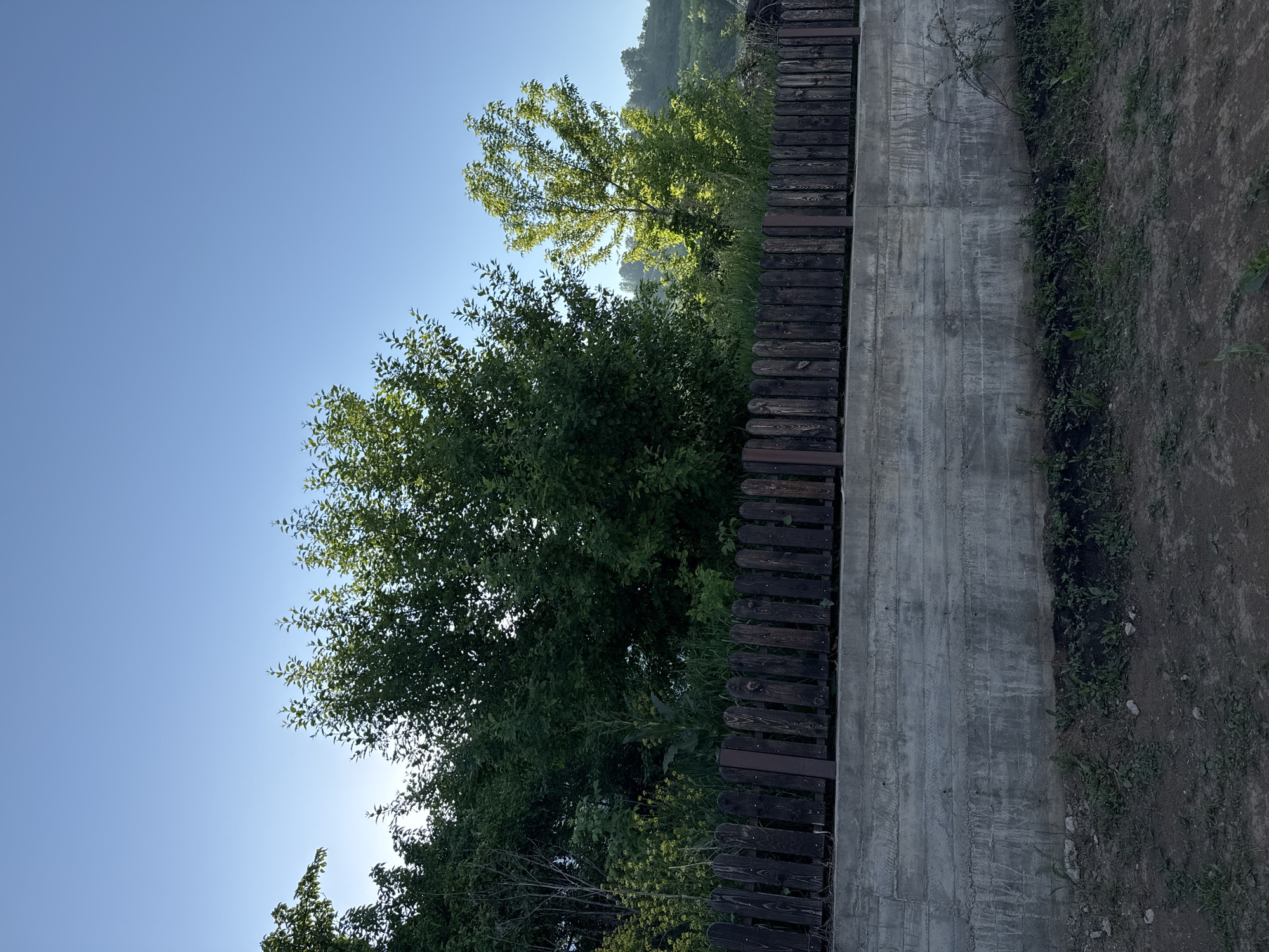 The image shows a wooden fence in front of a concrete retaining wall. Behind the fence, lush green trees and vegetation are visible against a clear blue sky. The scene appears to be in a rural or semi-rural setting, possibly on the outskirts of a settlement. The lighting suggests it is either early morning or late afternoon. The ground in front of the retaining wall is dirt with some sparse green growth. There are no people or animals present in the image. The location provided, Солонешное, Russia, suggests this is a view of a property or a natural area within that region.