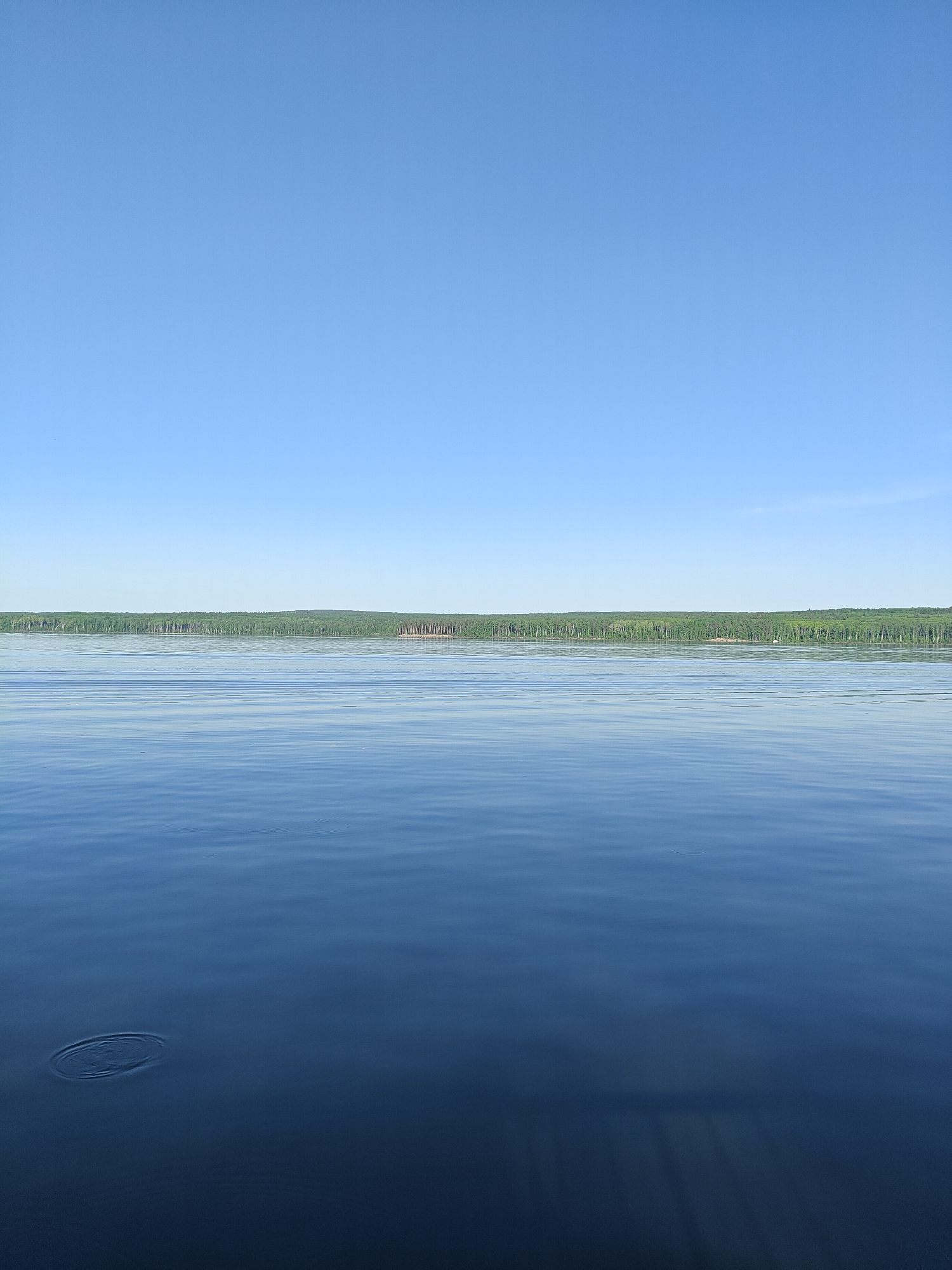 The image depicts a tranquil lake scene. The sky is clear and blue, taking up the upper portion of the image. Below the sky, a line of dense green forest stretches across the horizon. The majority of the image is taken up by the lake's blue water, which exhibits subtle ripples. In the lower left corner, there are concentric rings of water disturbance, indicating something has recently entered the water. The location is likely a lake near Chaikovsky, Russia, given the request, but this cannot be definitively determined from the image alone.