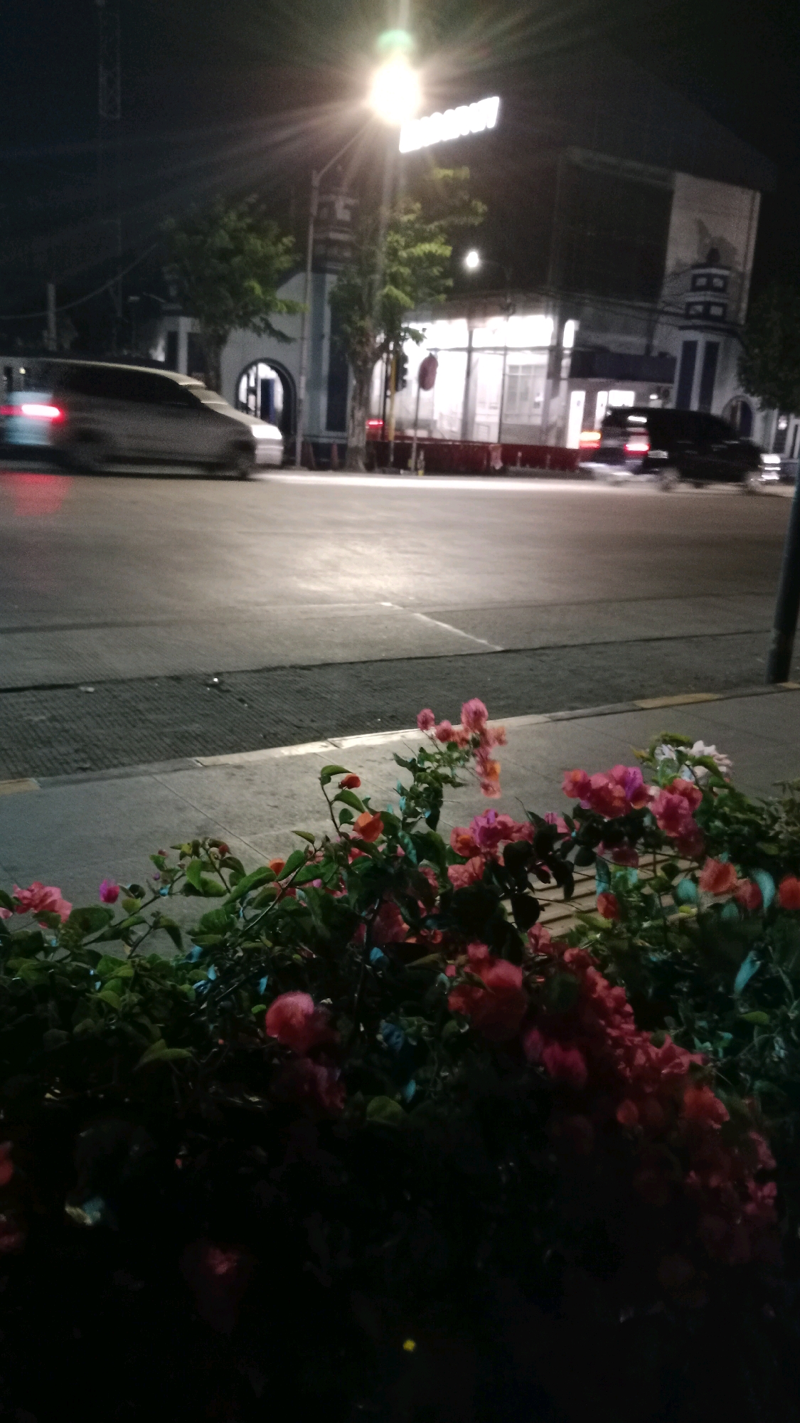 The image captures a street scene in Maospati, Indonesia, at night. In the foreground, vibrant pink and orange bougainvillea flowers are in bloom, creating a colorful border. Beyond the flowers, a paved sidewalk is visible, leading to a street with traffic. A silver car is blurred in motion on the left side of the road, indicating movement. On the right side of the street, a black vehicle is also blurred. Across the street, buildings with illuminated windows line the road. A prominent sign with white lettering, partially visible at the top of the frame, suggests a commercial establishment. A streetlamp illuminates the scene, casting a bright light. The overall atmosphere is that of a bustling urban environment after dark, with a touch of natural beauty from the flowers.