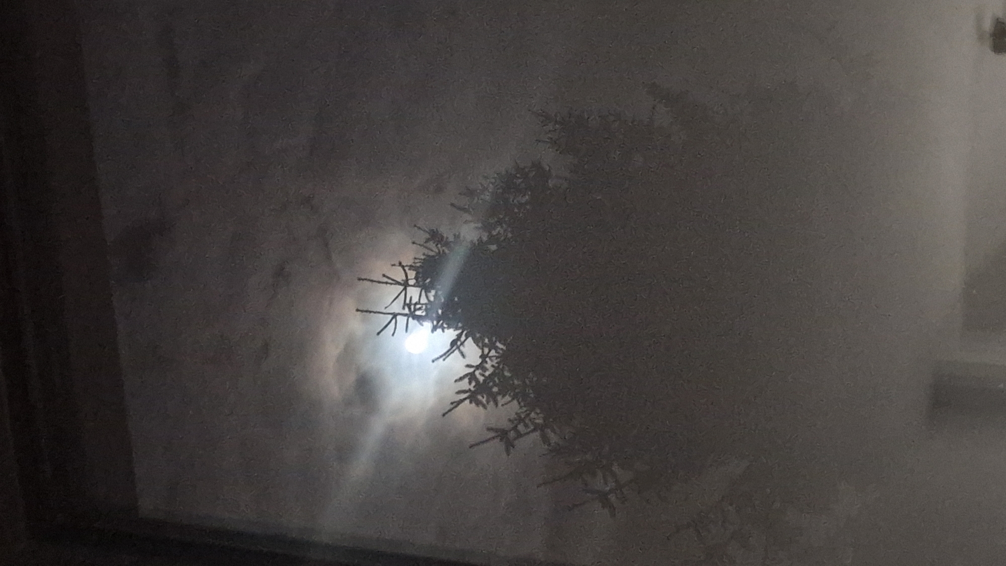 The image shows a view through a window at night. Outside, a coniferous tree branch is silhouetted against the moon, which shines through the clouds. The lighting is dim and the scene appears slightly foggy or misty. The location is unknown.