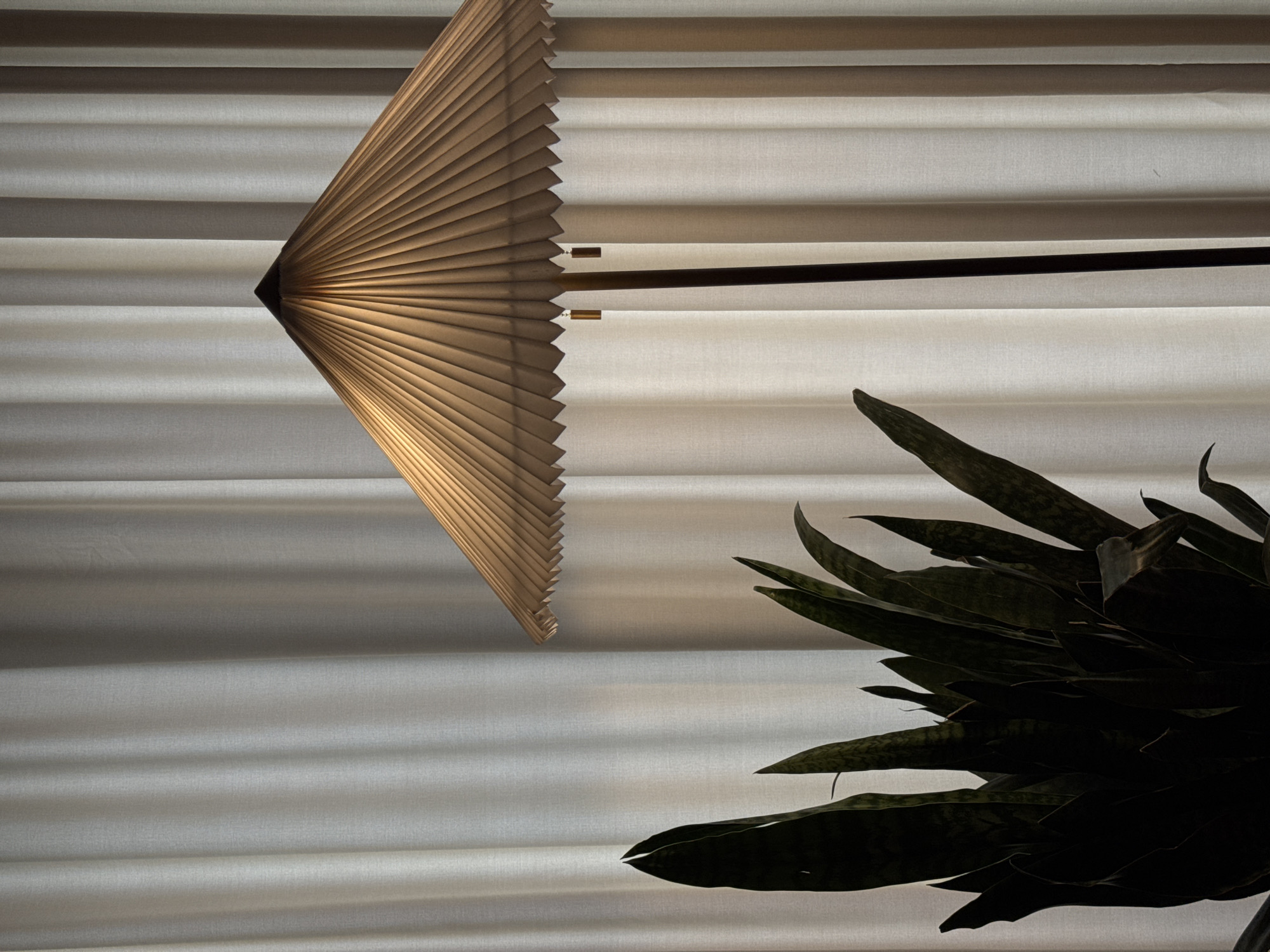 The image features an indoor scene with a combination of artificial and natural elements. In the upper-left quadrant, a partially lit, pleated lampshade extends from a horizontal rod. The background consists of neutral-colored, horizontal blinds. In the lower-right, a cluster of snake plant leaves is visible. No people are present in the frame. The location is unknown.