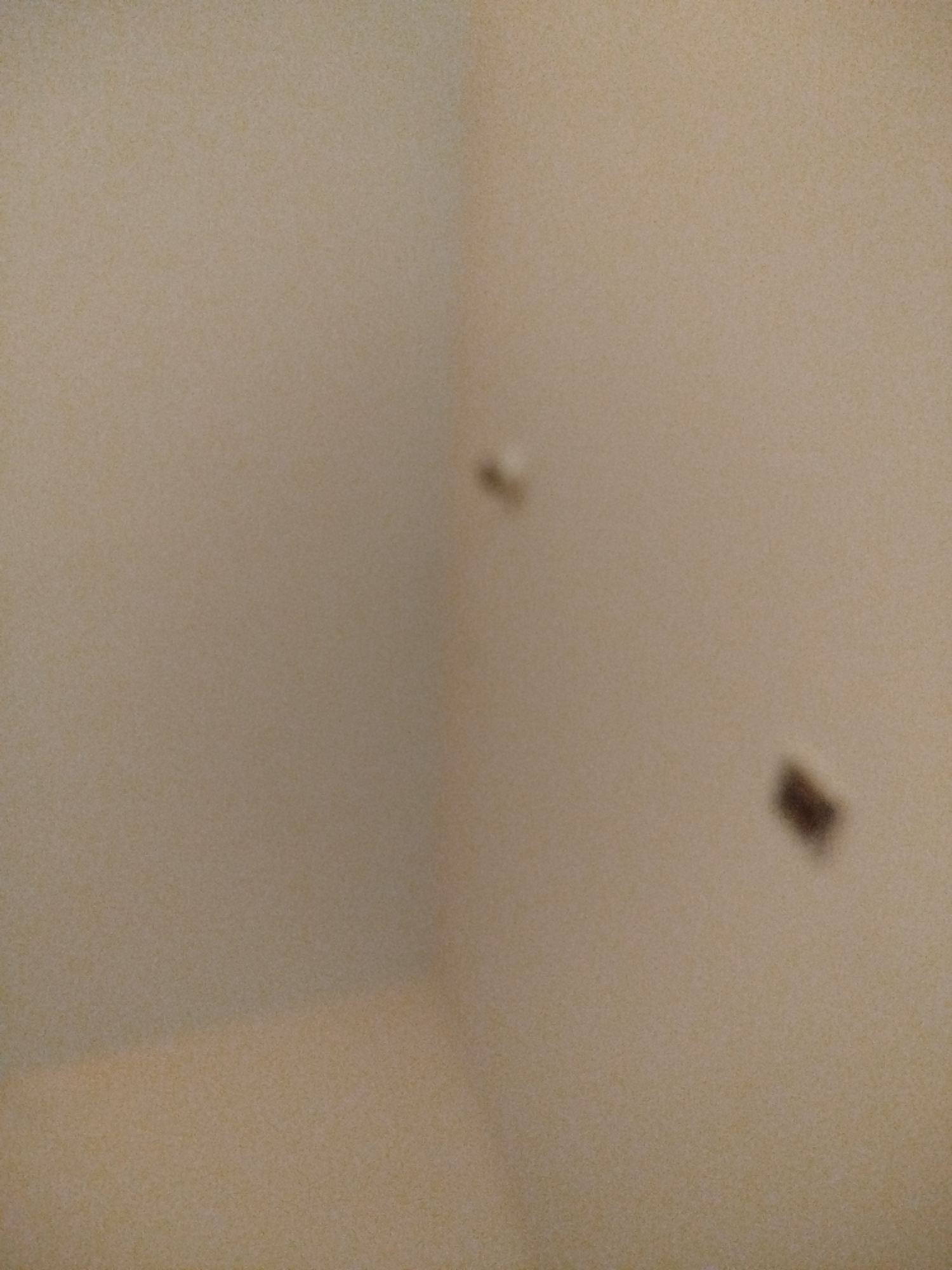 The image displays a wall with a corner visible. There are three dark spots on the wall. One spot is located on the left side of the image, closer to the center. Another spot is positioned further to the right and slightly lower on the wall. A third, smaller spot is present to the left of the first two, closer to the upper edge of the image. The wall appears to be a light beige or off-white color. The scene is forensic in nature, devoid of any identifiable context related to the city of Lassan, Pakistan.