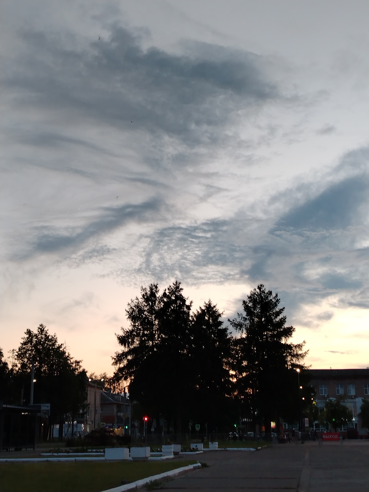 The image captures a twilight scene in Chaikovsky, Russia, likely in a public space such as a town square or park. The sky is filled with dramatic, streaky clouds, with hues of pale orange and pink near the horizon suggesting the last vestiges of sunset. Silhouetted against this sky are several tall evergreen trees, their dark forms creating a strong contrast. In the mid-ground, buildings with visible windows are present, one of which has the word "ВЫХОД" (EXIT) written in red on a banner. A traffic light shows a red signal. The foreground is a paved area with white rectangular planters, indicating a developed urban environment. The overall impression is one of a quiet evening in a Russian town.
