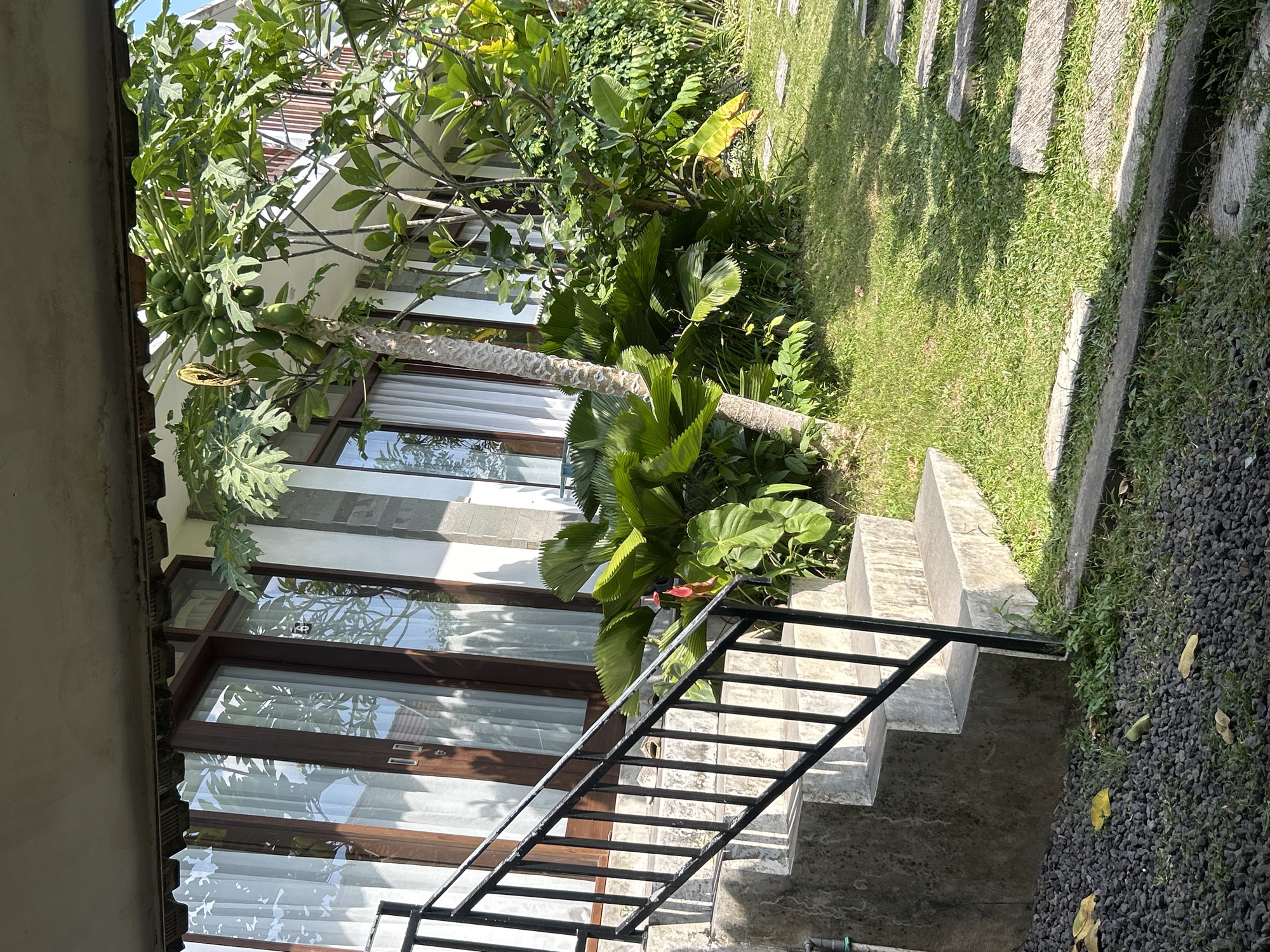 The image depicts an outdoor scene in front of a building, likely a resort or villa, located in North Kuta, Indonesia. In the foreground, a concrete staircase with a black metal railing leads up to a building entrance. To the right of the stairs, a lush green lawn is interspersed with stepping stones forming a path. Various tropical plants, including large-leafed varieties and a papaya tree laden with green fruit, are visible along the side of the building. The building itself features large glass doors and windows with white curtains. The overall impression is of a serene, tropical environment. There are no people or animals visible in the image.