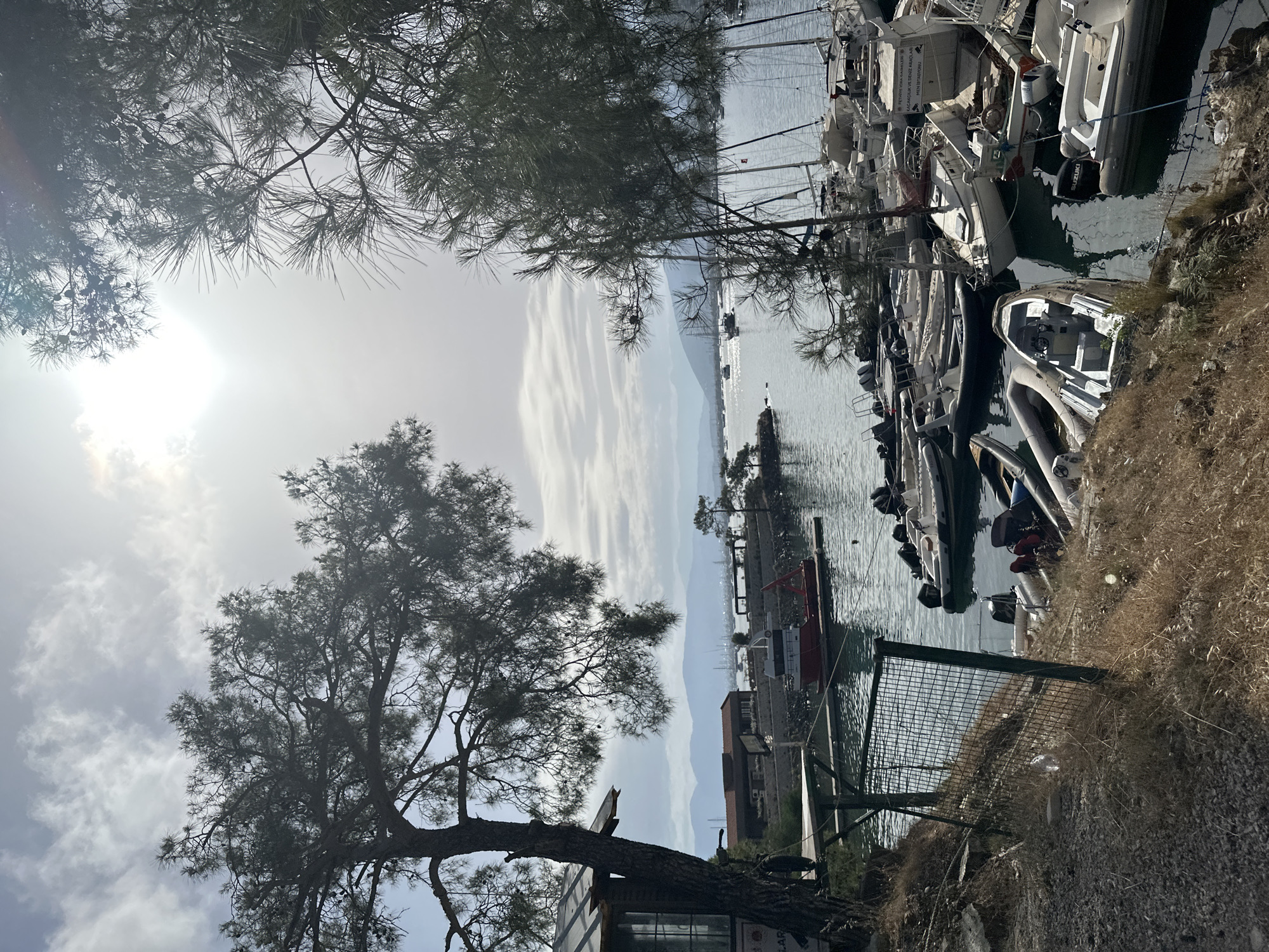 The image shows a view of a harbor in Fethiye, Turkey. The harbor is filled with boats, mostly small motorboats and some sailboats. The water is calm and reflects the sky. In the background, there are mountains. The sky is cloudy with the sun shining through the clouds. In the foreground, there is a tree and a metal fence. The ground is dry and covered with grass.
