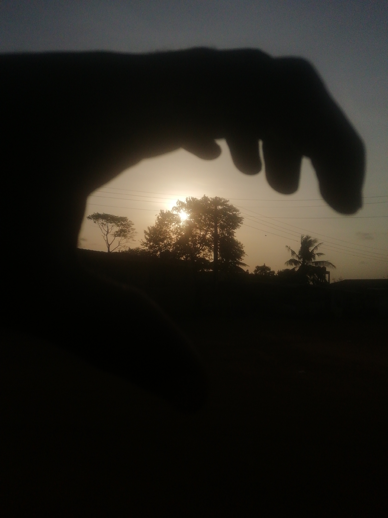 The image shows a silhouette of a hand in the foreground, obscuring much of the view. Through the gaps between the fingers, a landscape is visible. The sun appears to be setting, shining through and behind a cluster of trees in the middle ground. There are power lines visible above the trees. In the background, there's a palm tree and what appears to be a building. The ground in the foreground is entirely dark. The location is Unknown, Unknown.