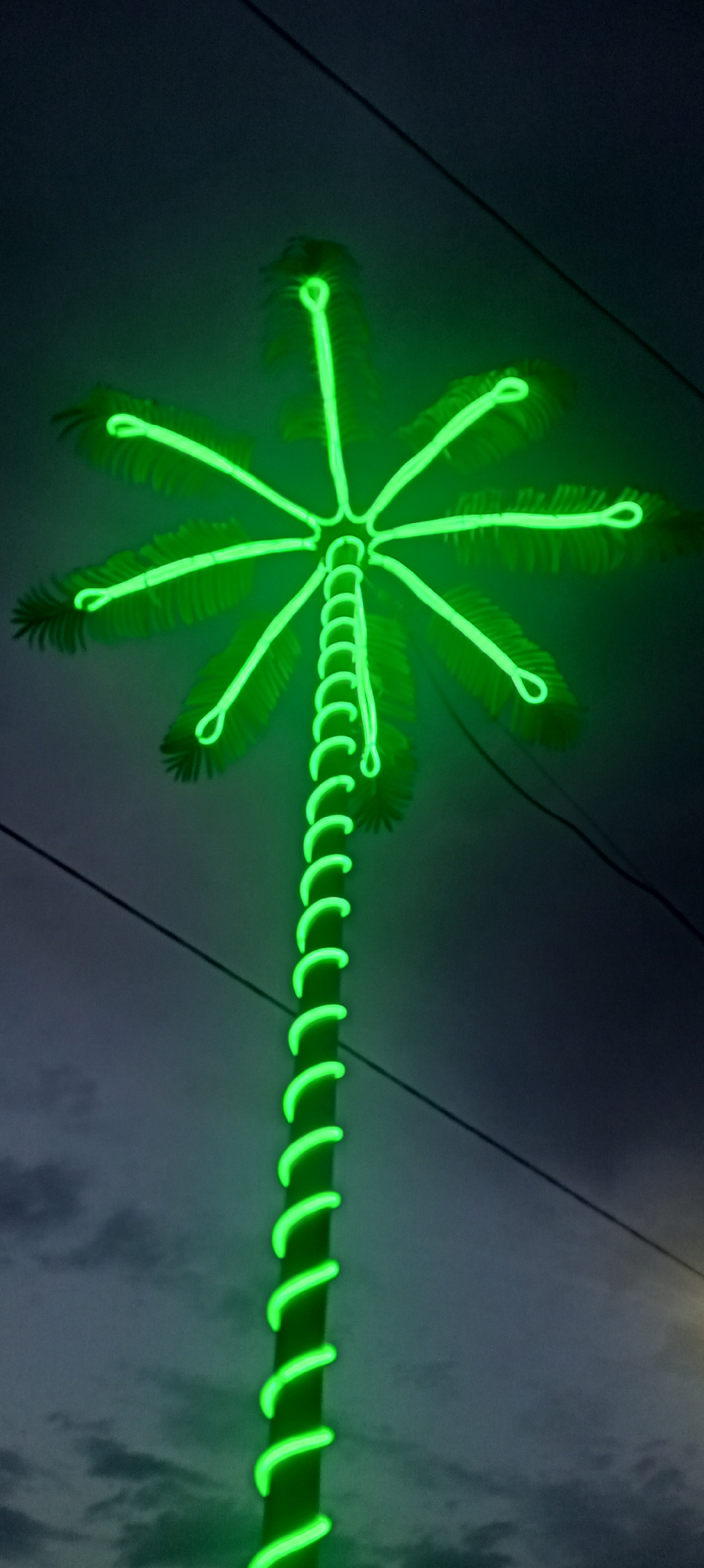 The image shows a close-up, low-angle shot of a neon green, artificial palm tree decoration against a dark, cloudy sky. The palm tree features a trunk wrapped in spiral neon lights and a canopy of eight neon green fronds, each ending in a loop. The overall lighting is dim, consistent with twilight or evening. The neon lights are the primary light source and dominate the frame. In the background, faint outlines of power lines are visible, suggesting an outdoor urban or semi-urban setting. The location is identified as Sokuluk, Kyrgyzstan. There are no people or animals in the image.