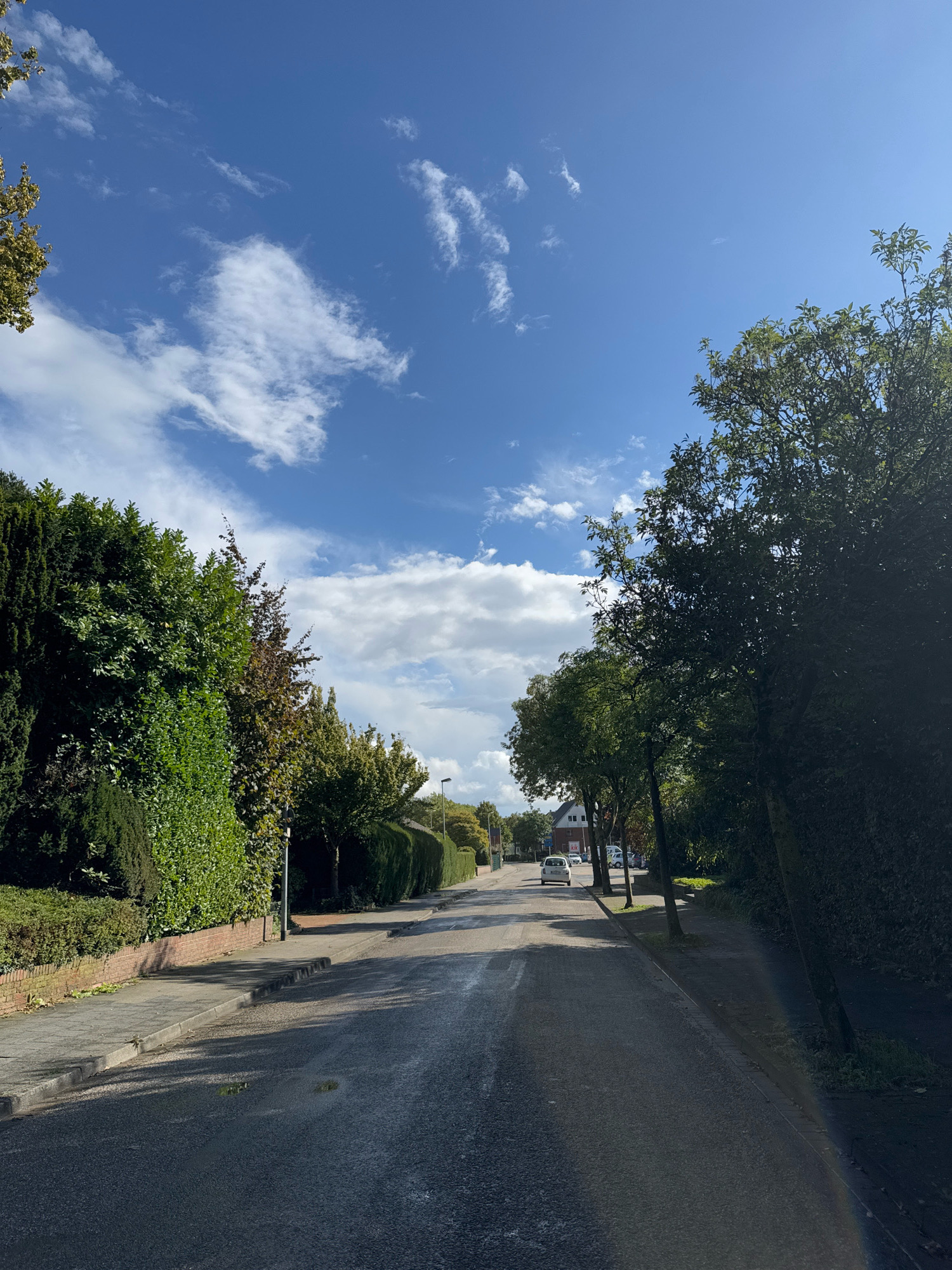 The image depicts a residential street in Cleves, Germany, under a partially cloudy blue sky. The road is paved and appears damp, with some small puddles visible. On the left side of the road, there is a sidewalk made of gray paving stones, bordered by a low brick wall and lush green hedges. A variety of trees and dense foliage line both sides of the street. A white car is parked on the street in the distance, and the architecture of houses can be glimpsed behind the trees. The sunlight creates shadows on the road and sidewalk, and a faint rainbow is visible on the right side of the image. No people are present in the scene.