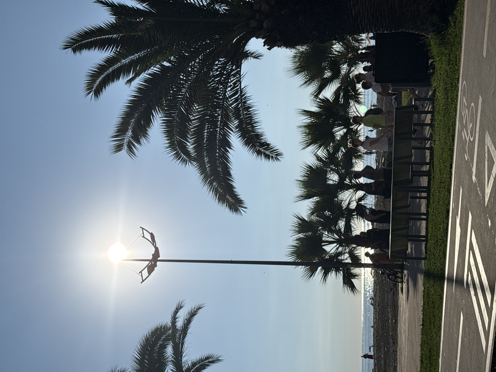 A vertical, eye-level shot captures a sunny day at a coastal promenade, with a bright sun glaring behind a lamppost in the upper center. Palm trees are silhouetted against the clear blue sky, with their fronds extending into the frame from the top left and right. In the mid-ground, a group of people are visible, some standing and others walking, with a row of park benches behind them. The beach and the ocean are in the background, with gentle waves and several distant figures enjoying the water. A bicycle is parked near the benches. In the foreground, a paved pathway, marked with a bike lane symbol, suggests an area for cycling and pedestrian traffic, bordered by a strip of green grass.