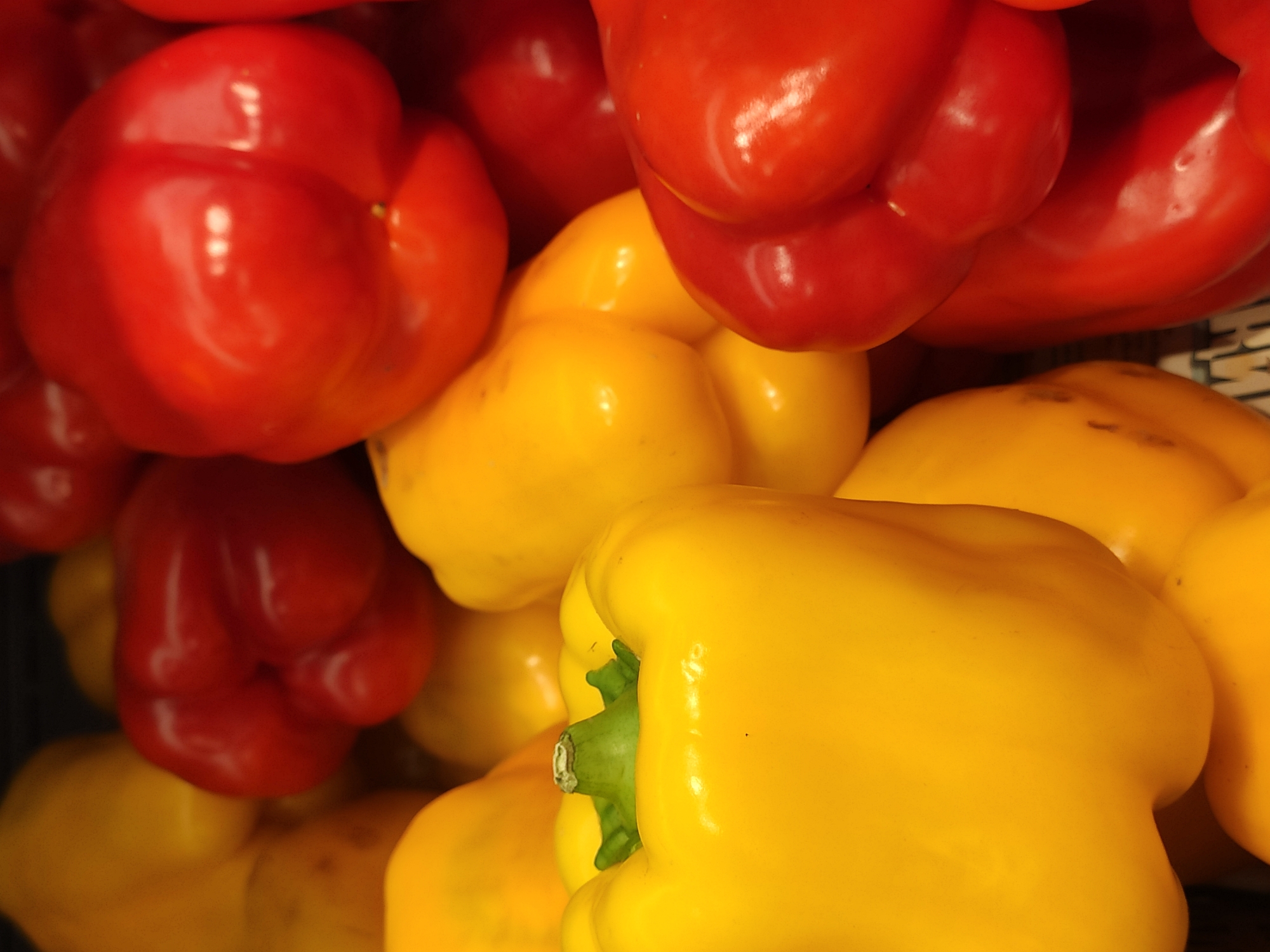 A close-up, eye-level, indoor shot captures a vibrant pile of red and yellow bell peppers. The peppers are large and plump, with smooth, shiny skins reflecting the ambient light. The focus is sharp on the peppers, with a shallow depth of field blurring the background into a soft, dark mass. The arrangement is tightly packed, suggesting a market stall or display. No people or specific environmental details are visible, but the overall impression is one of fresh produce. The image does not depict any location within Tashkent, Uzbekistan.