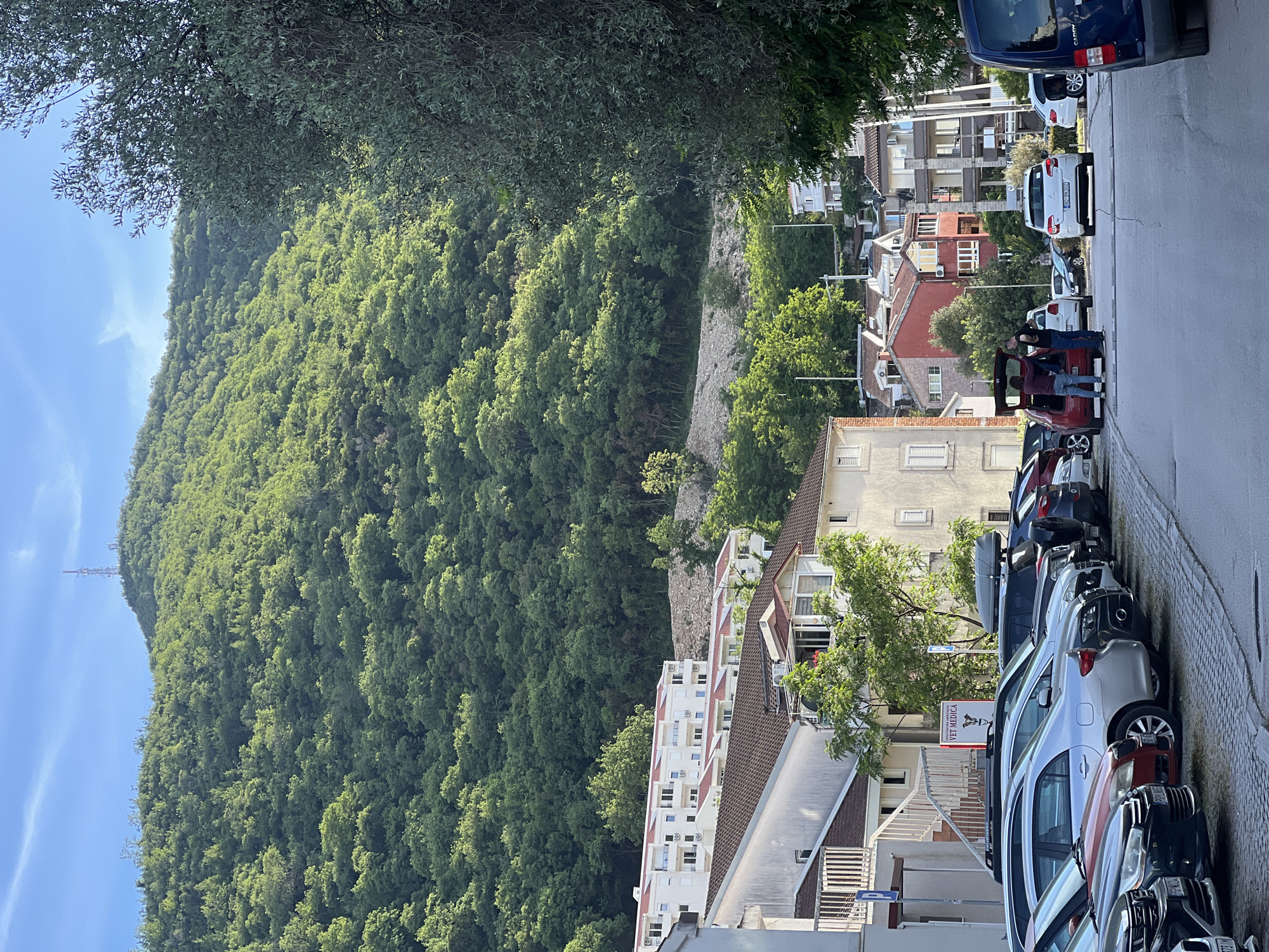 This is an outdoor scene in Budva, Montenegro, showing a residential street lined with parked cars on the right side of the frame. A large, green, forested hill occupies the left side of the frame, rising sharply from the edge of the buildings. A few buildings are visible between the trees and the street. Two people are visible near a red car in the middle of the street. The sky is visible in the upper left corner of the frame, appearing blue. The street is made of asphalt.