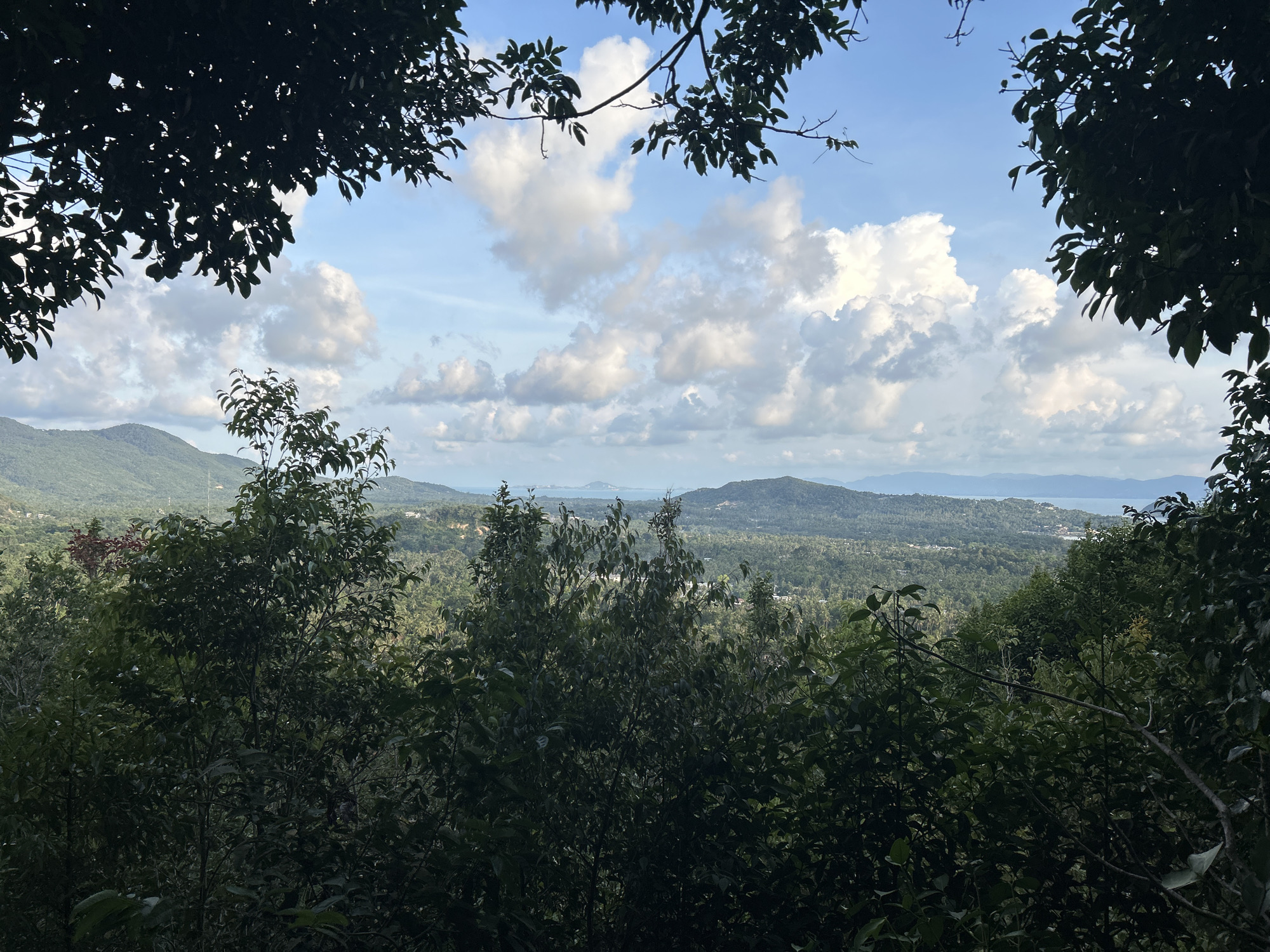 The image captures a landscape from an elevated perspective, seemingly in the vicinity of Baan Hin Kong, Thailand. A frame is created by dark foliage and tree branches in the foreground and upper part of the image. The middle ground features dense, green vegetation covering hills and valleys. In the distance, a clear blue sky dotted with fluffy white clouds is visible above the horizon where land meets the sea or a large body of water. The presence of land masses suggests islands or coastal regions within the viewpoint's range.