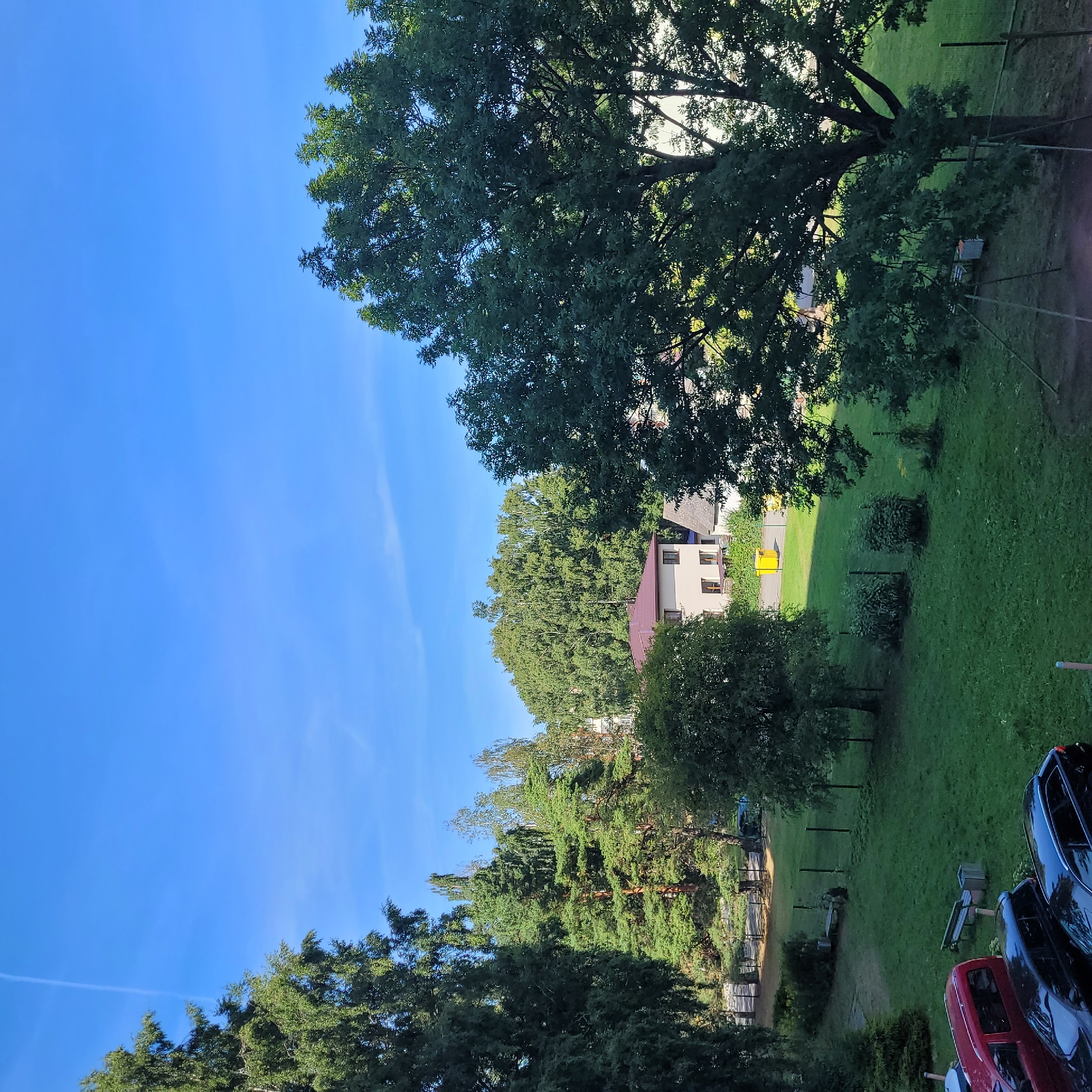 The image captures a serene outdoor scene, likely in Jūrmala, Latvia, on a bright, clear day. The sky is a vibrant blue with a faint contrail stretching across it. In the foreground, several parked cars, including a red van and two dark sedans, are visible on a paved area. Adjacent to the parking is a lush green lawn dotted with trees and bushes. A wooden bench is placed on the grass, and further back, a yellow refuse bin stands near a building with a brown roof. The scene is framed by tall, mature trees, some coniferous and others deciduous, adding to the natural beauty of the setting. The overall impression is one of a peaceful, suburban environment.